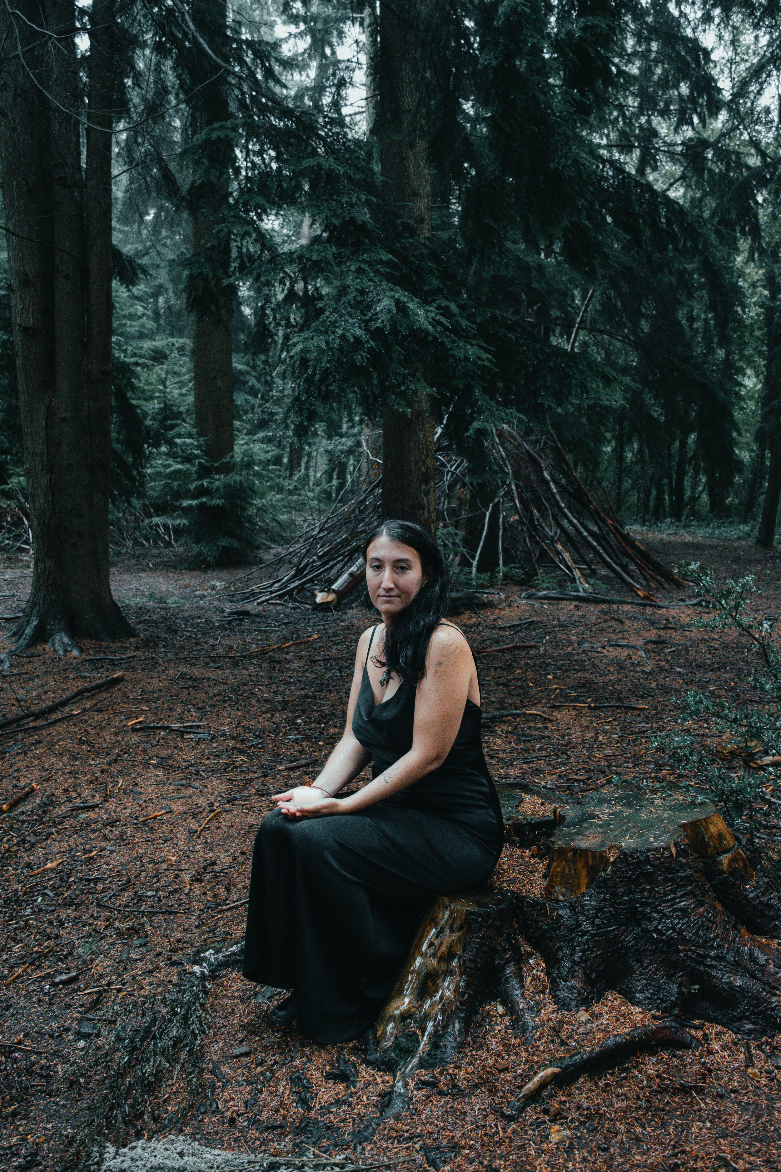 A woman in a black dress sitting on a tree stump in a dense forest, with trees and fallen branches in the background.