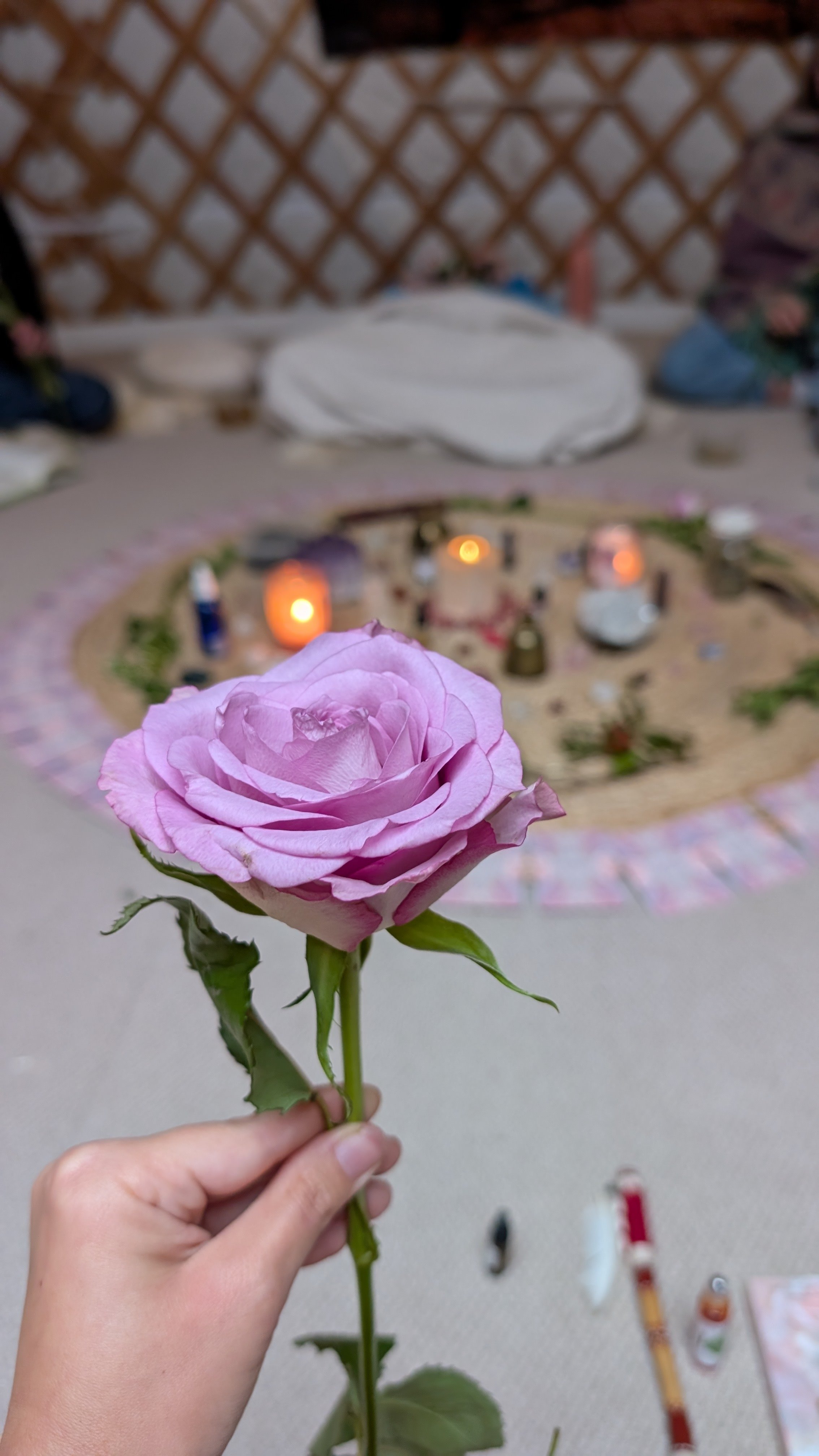 A person holding a pink rose in front of a circular altar with lit candles and various objects, with a white cloth-covered figure and a wooden lattice wall in the background.