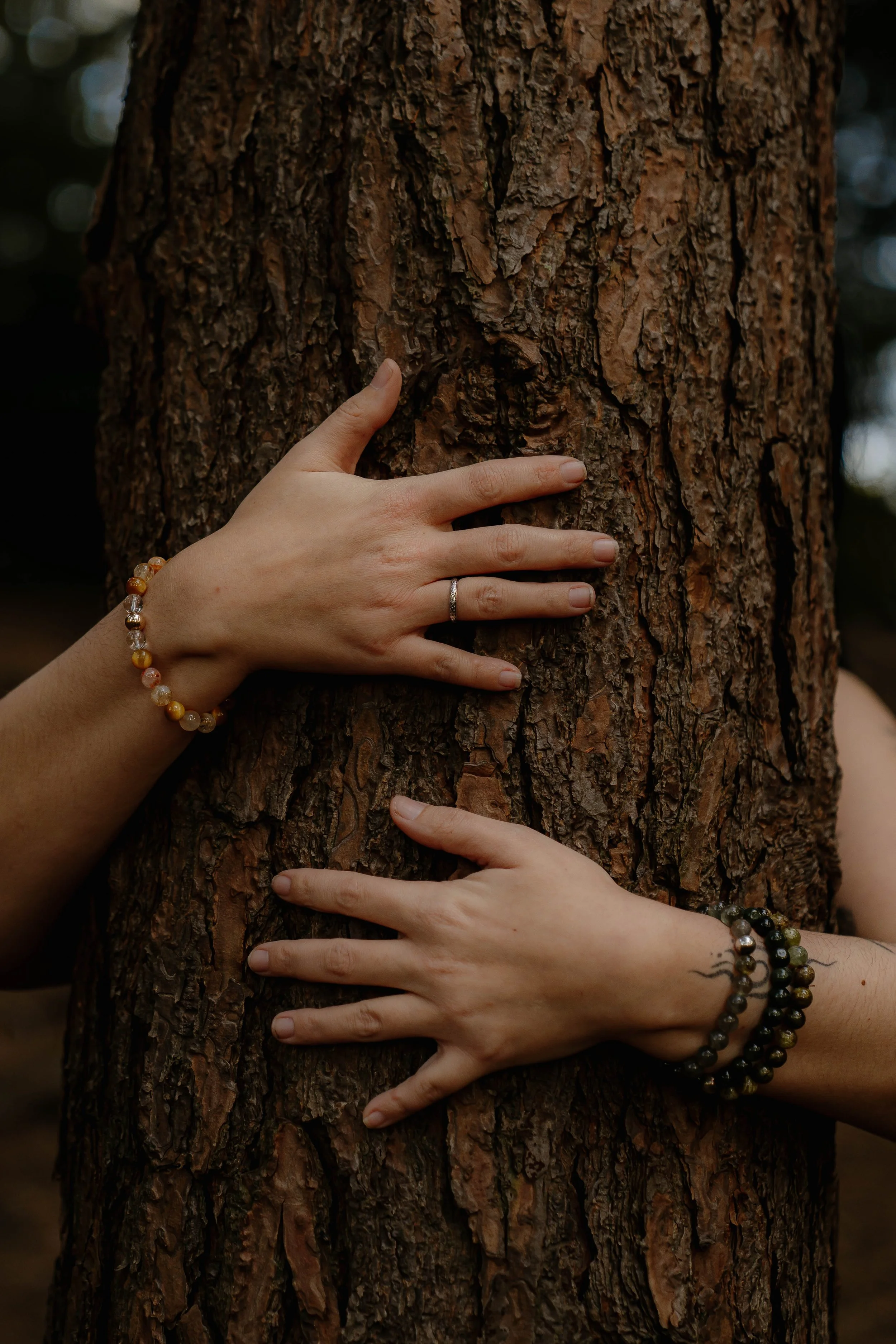 Multiple hands with jewelry and tattoos touching the bark of a large tree trunk in a forest.