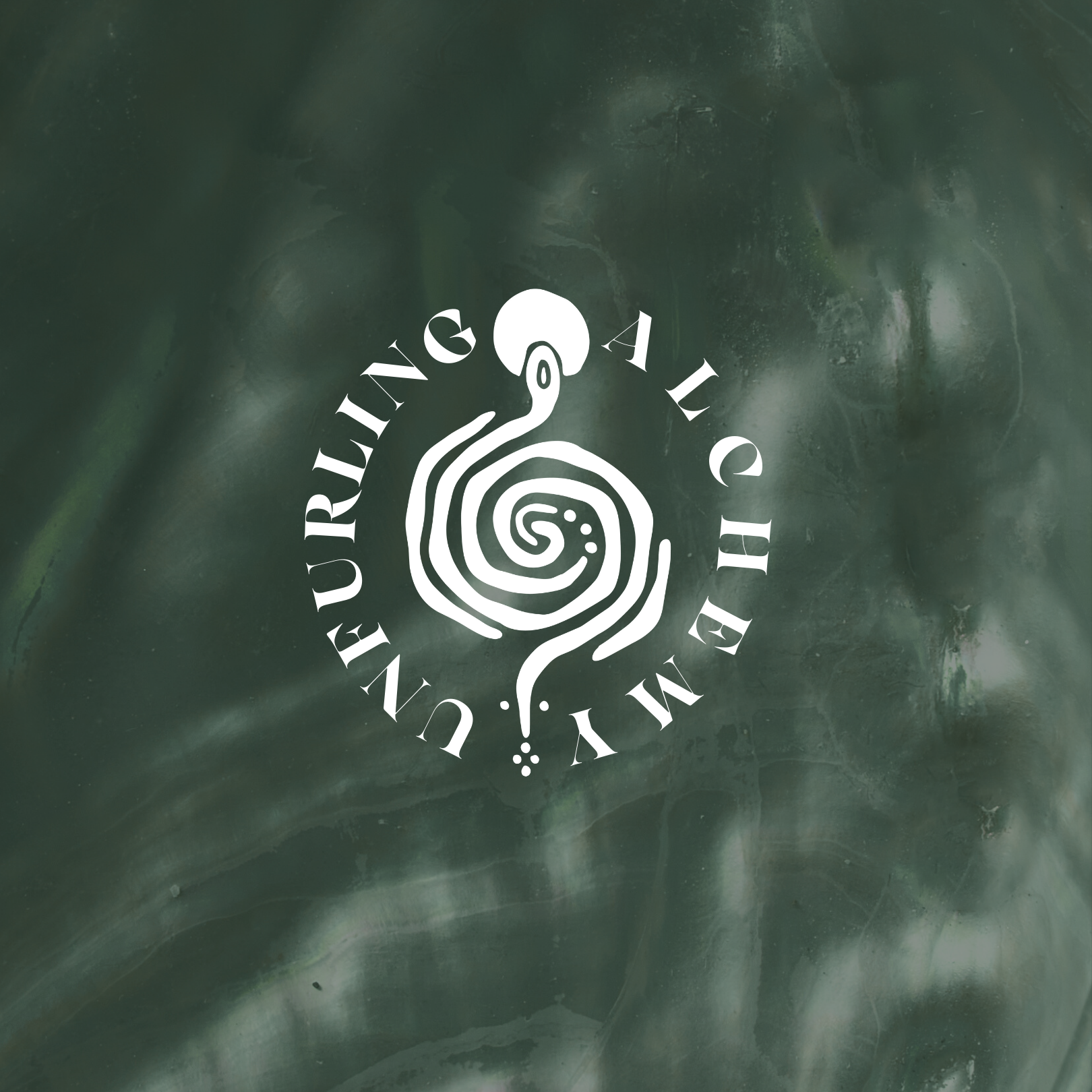 Discovery Healing Session