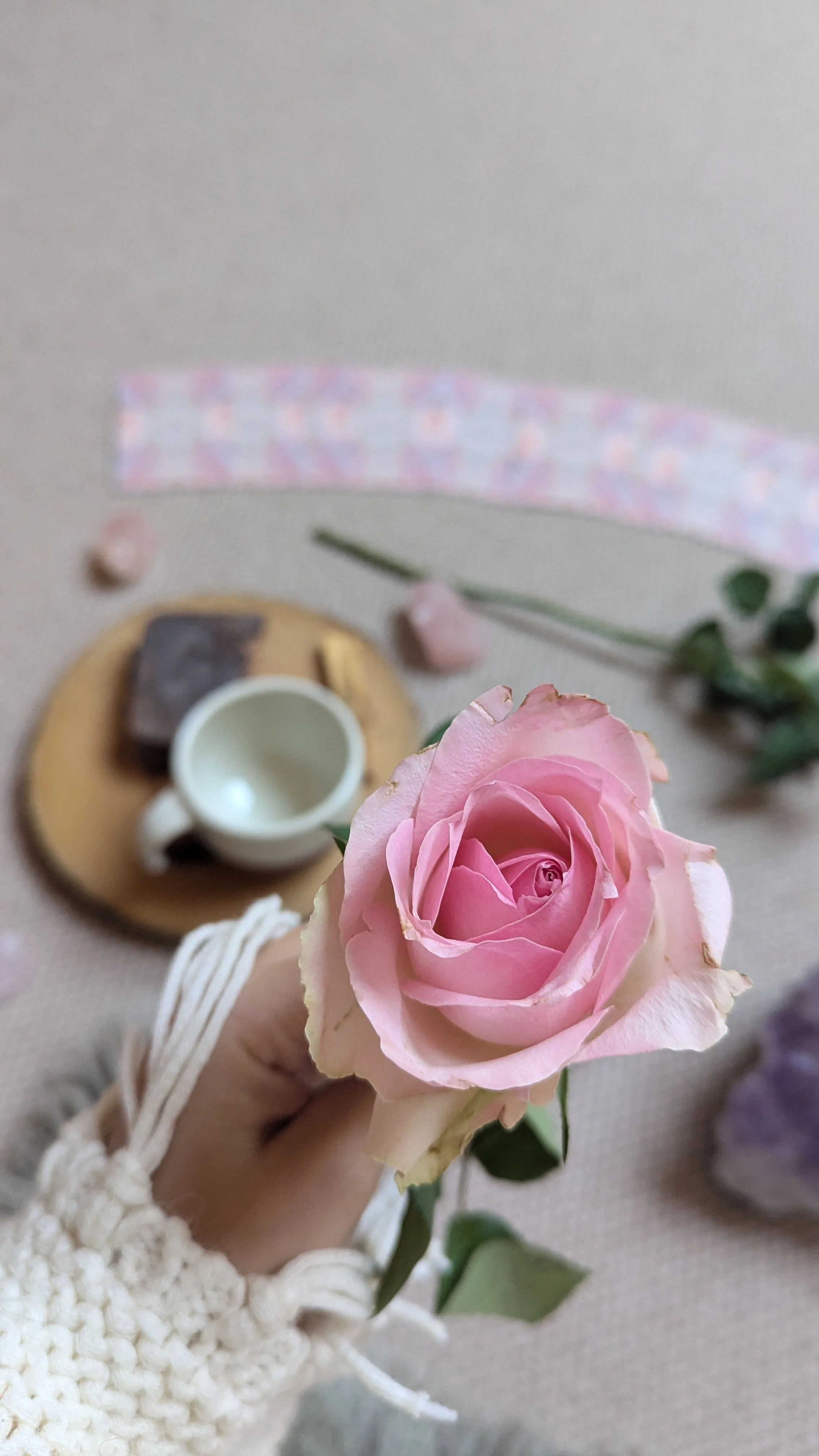 A person's hand holding a pink rose with a cream-colored edge, background includes a small white mug and chocolate pieces on a wooden tray, and decorative elements such as a pink ribbon, a green plant, and rocks on a beige surface.