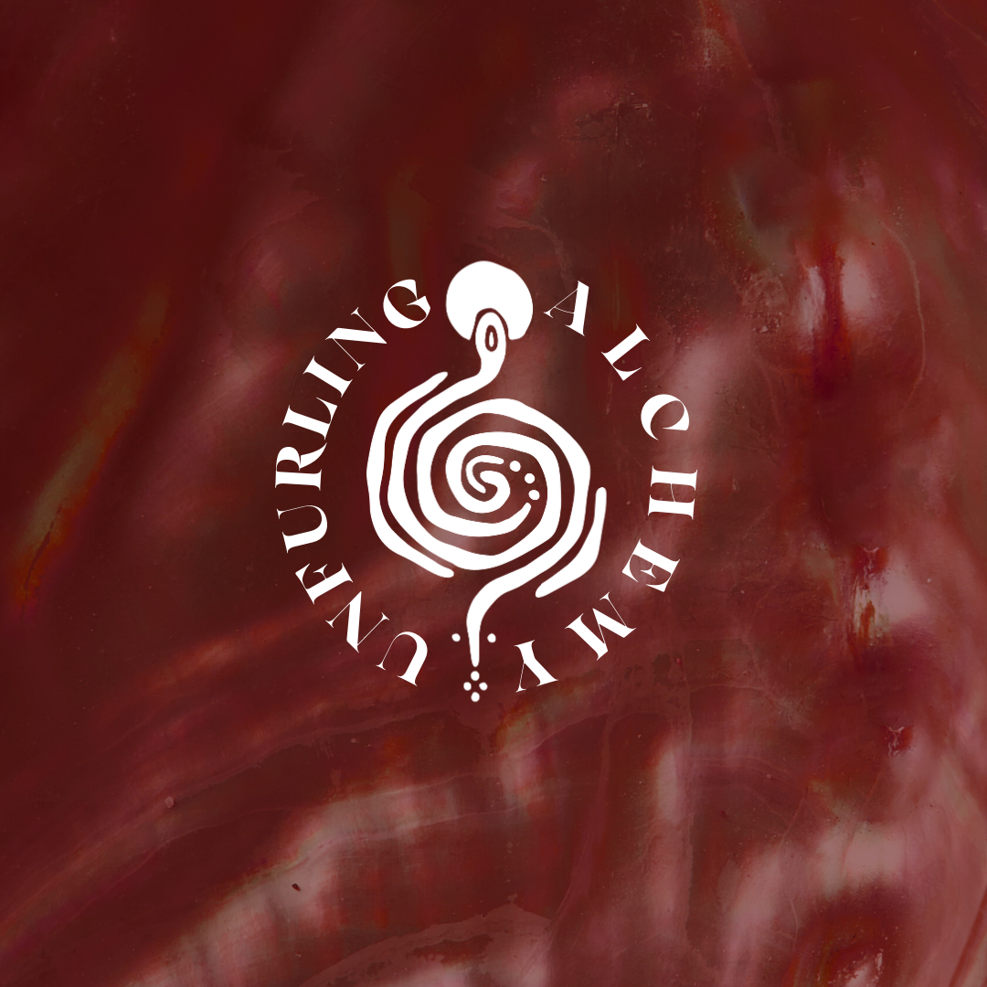 Healing Container (x3 Pack) - Pay in Full