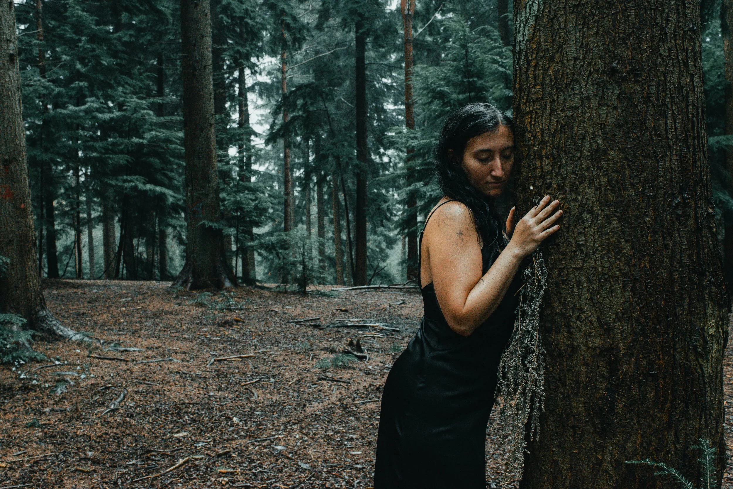 A woman with dark, wavy hair in a black dress leaning against a large pine tree in a dense forest with tall trees and a gloomy atmosphere.