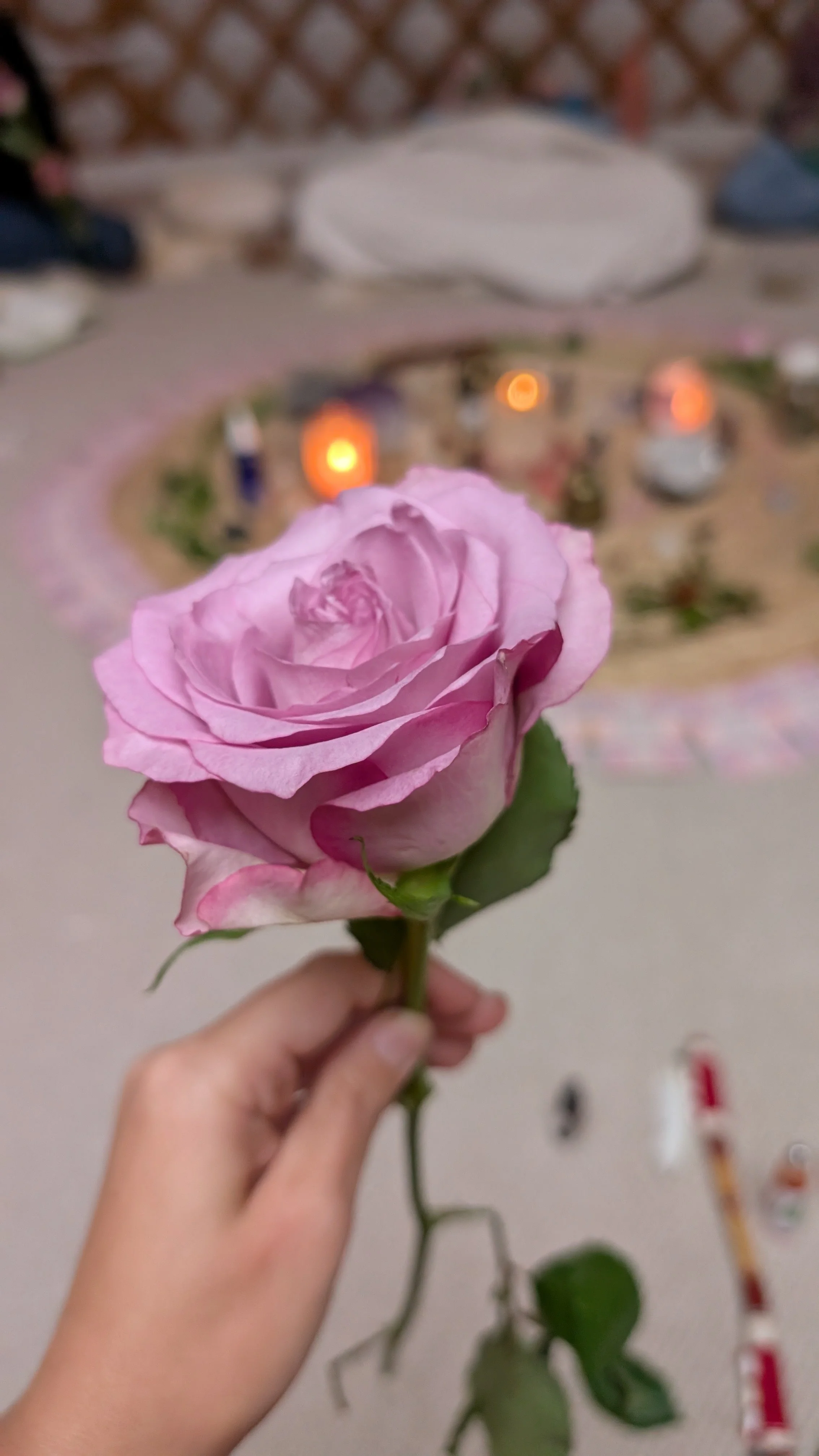 Person holding a pink rose with a blurred background of a decorated tabletop and objects.