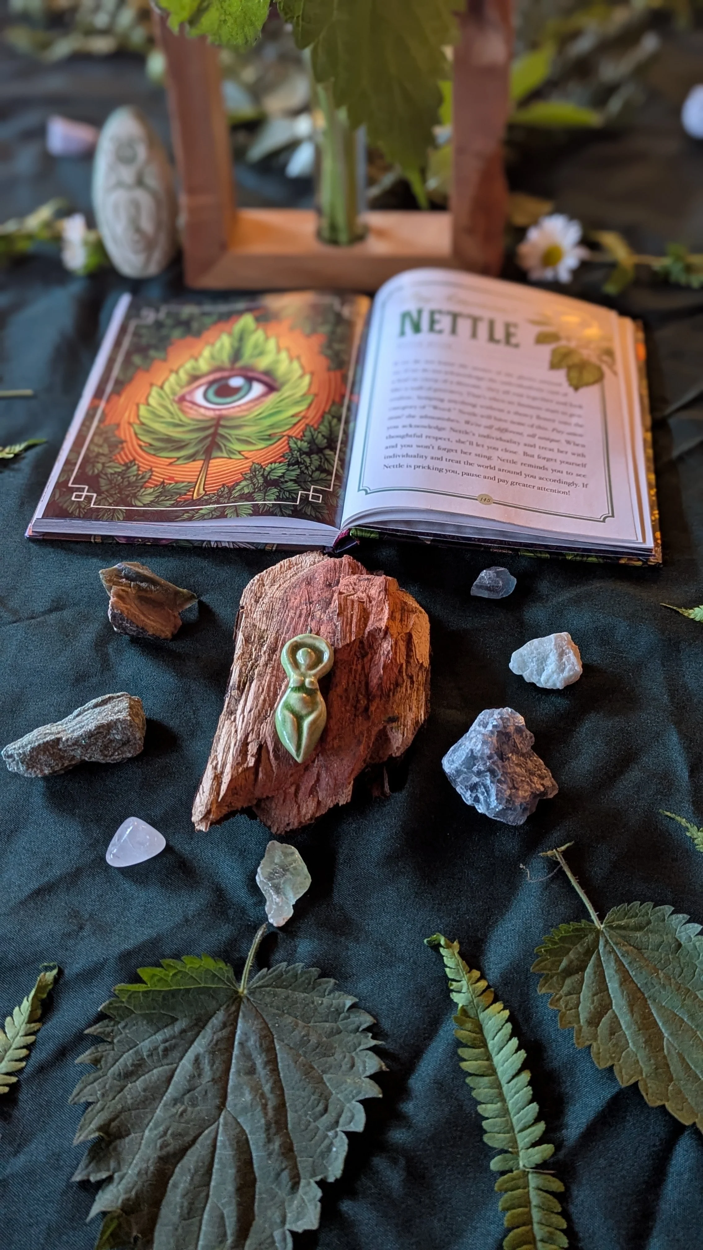 An open book with text and an illustration of a leaf with an eye in the center, surrounded by rocks, leaves, and wooden objects on a dark fabric surface.
