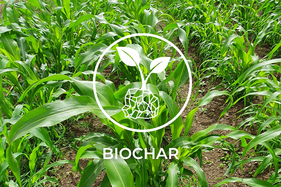 BIOCHAR.png