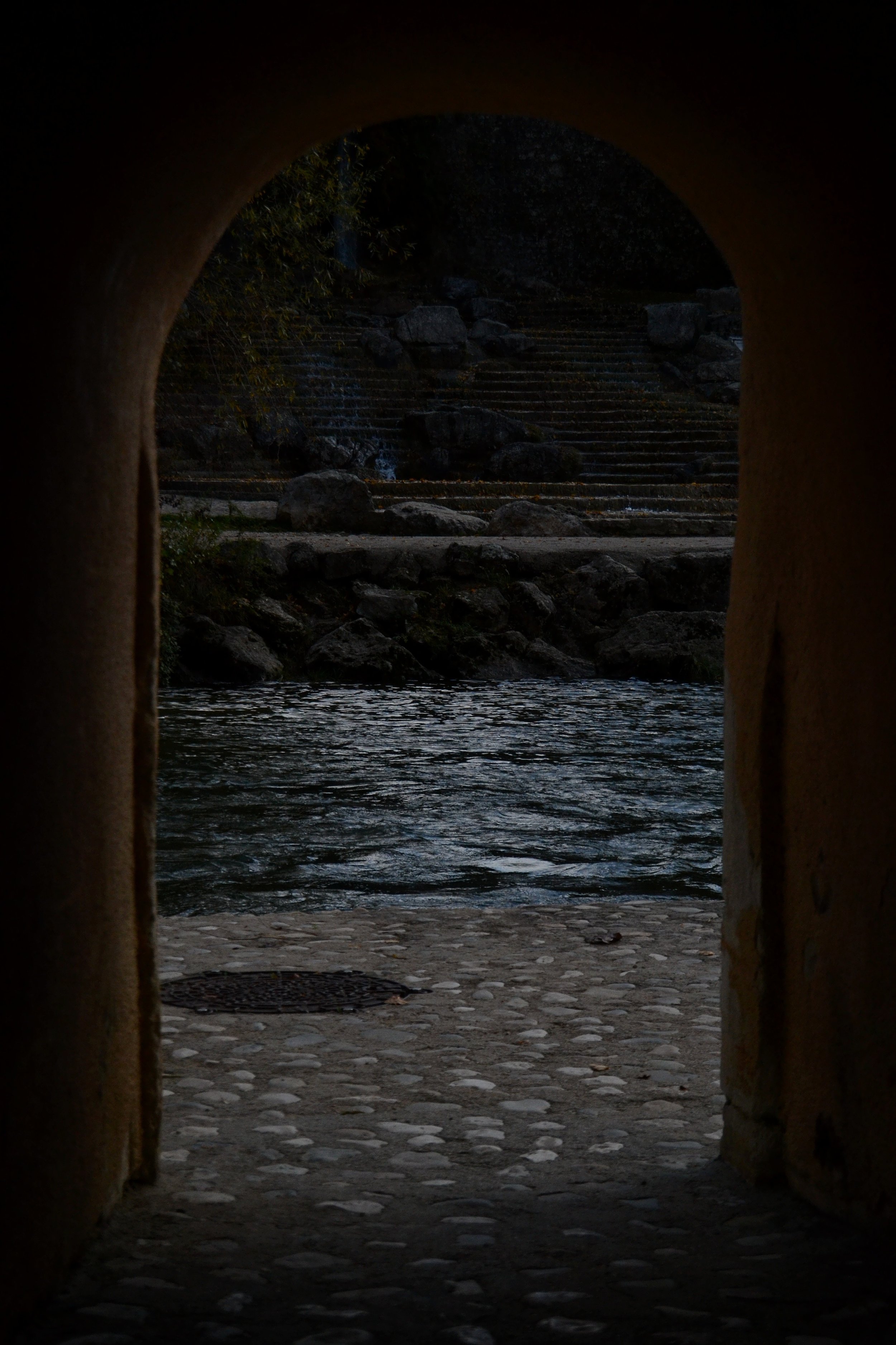 DSC_0437-01.jpg