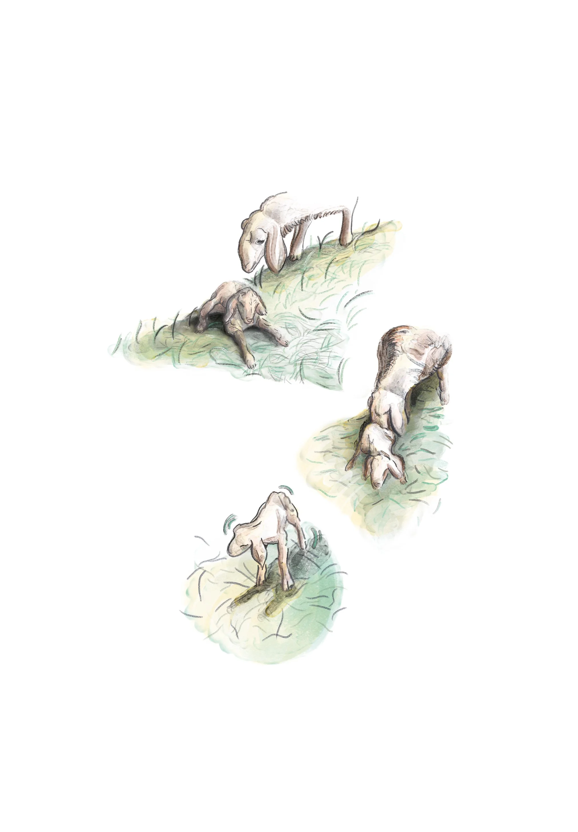 Roots - graphic novel for children and young adults