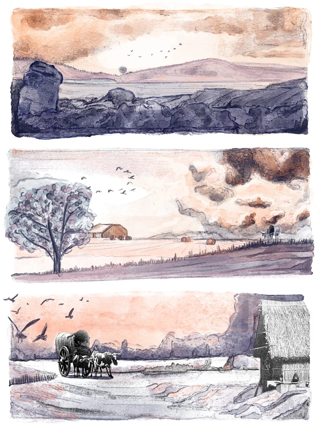 Roots - graphic novel for children and young adults