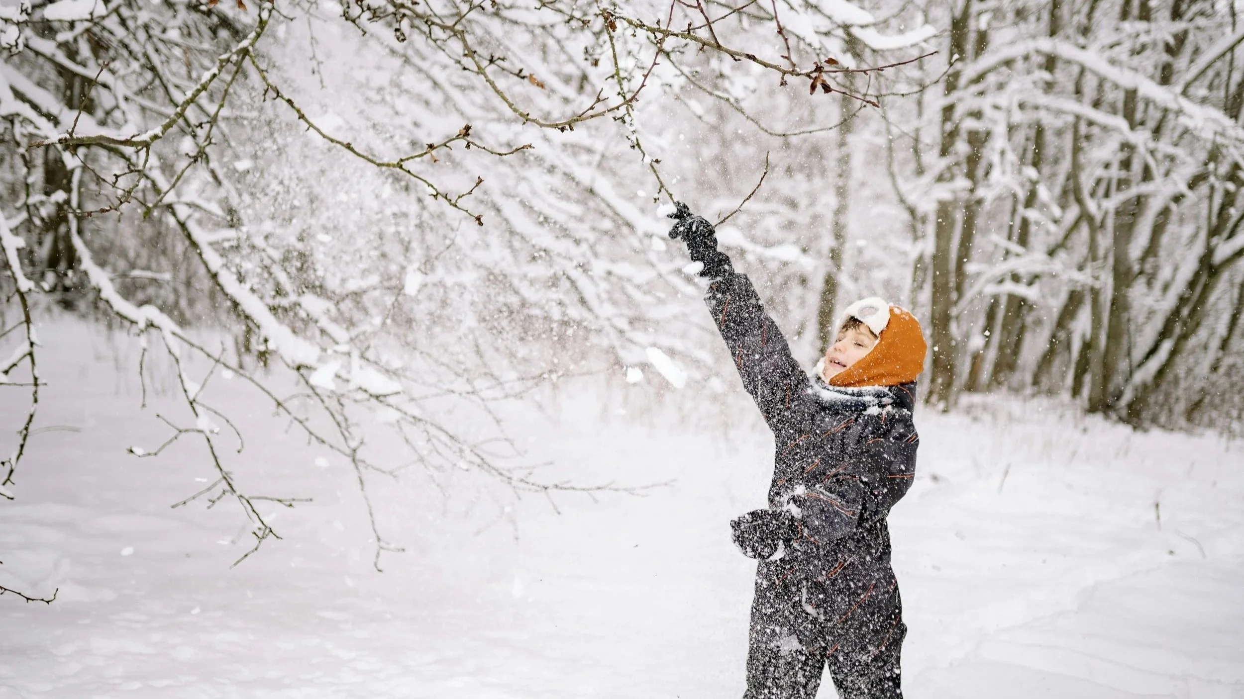 Christmas with the National Trust