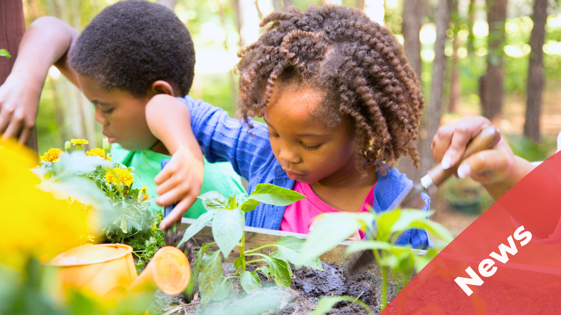 Getting Your Child ‘School Ready’