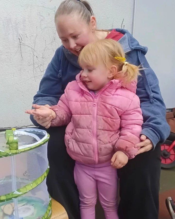 From Caterpillars to Butterflies 🐛🦋

The Acomb Trailblazers have spent the last few weeks looking after caterpillars which have turned into butterflies! The children took on this very important role taking care of the little caterpillars, learning 
