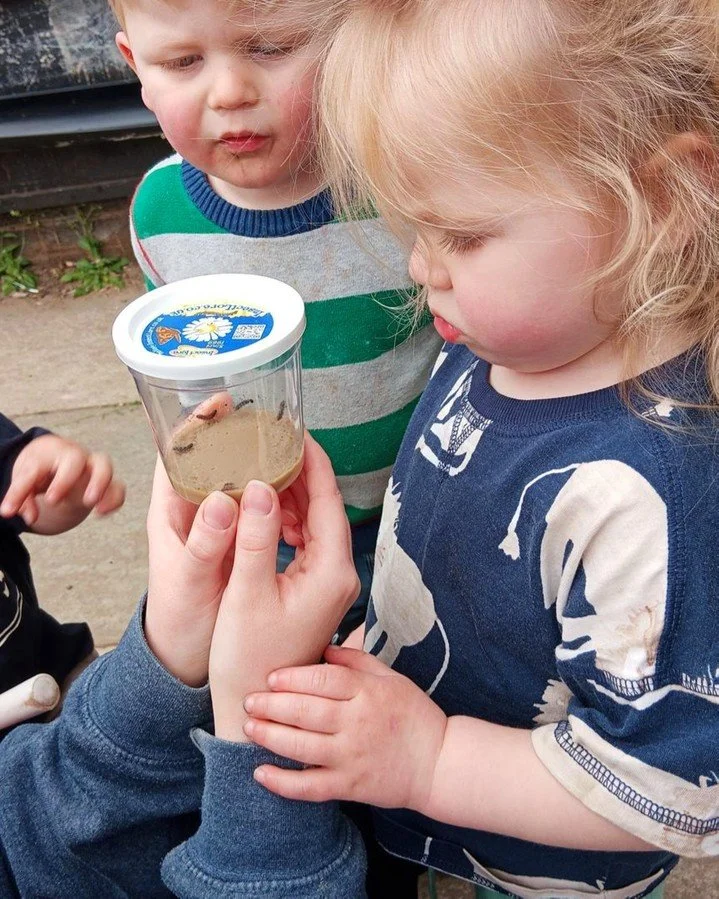 The Acomb Investigators have also recently started their caterpillar journey; take a look at their new special friends! 🐛

The children have loved closely observing the caterpillars and talking about how they will grow and change - they've already g