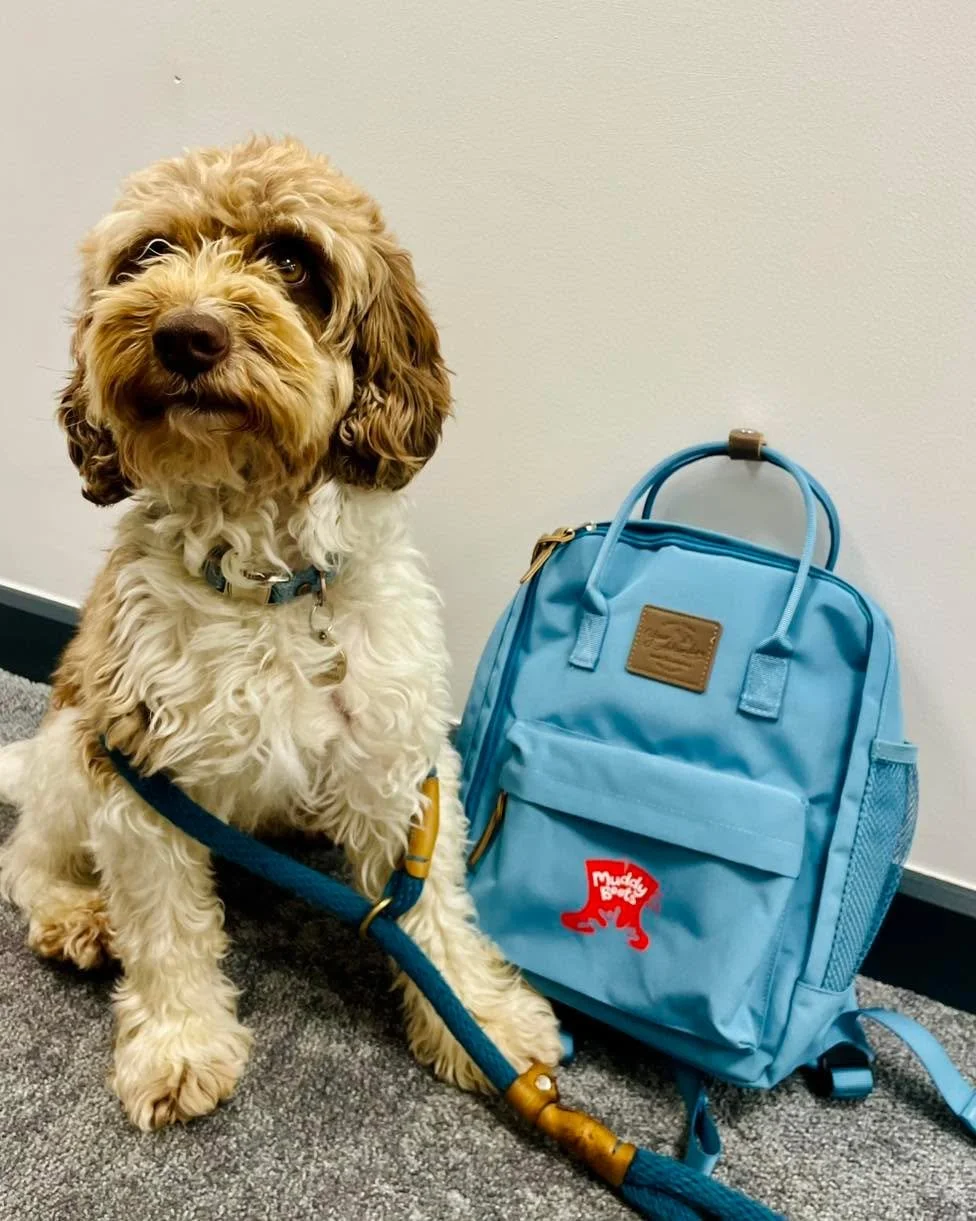 Furry Friends Friday! This week, the Muddy Boots Central Team met the lovely Wilf 🐶

We just received our new delivery of Muddy Boots backpacks and Wilf&rsquo;s leash matched them ever so perfectly!

We&rsquo;d love to see your furry friends at home