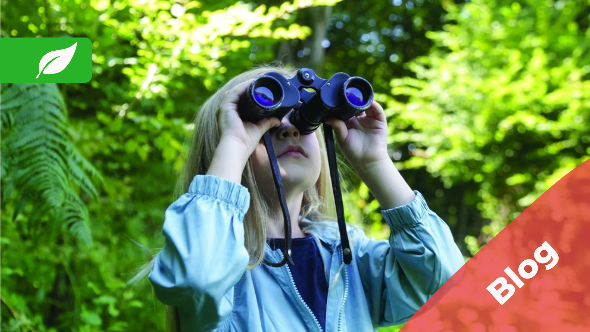 What are the Benefits of Outdoor Learning?