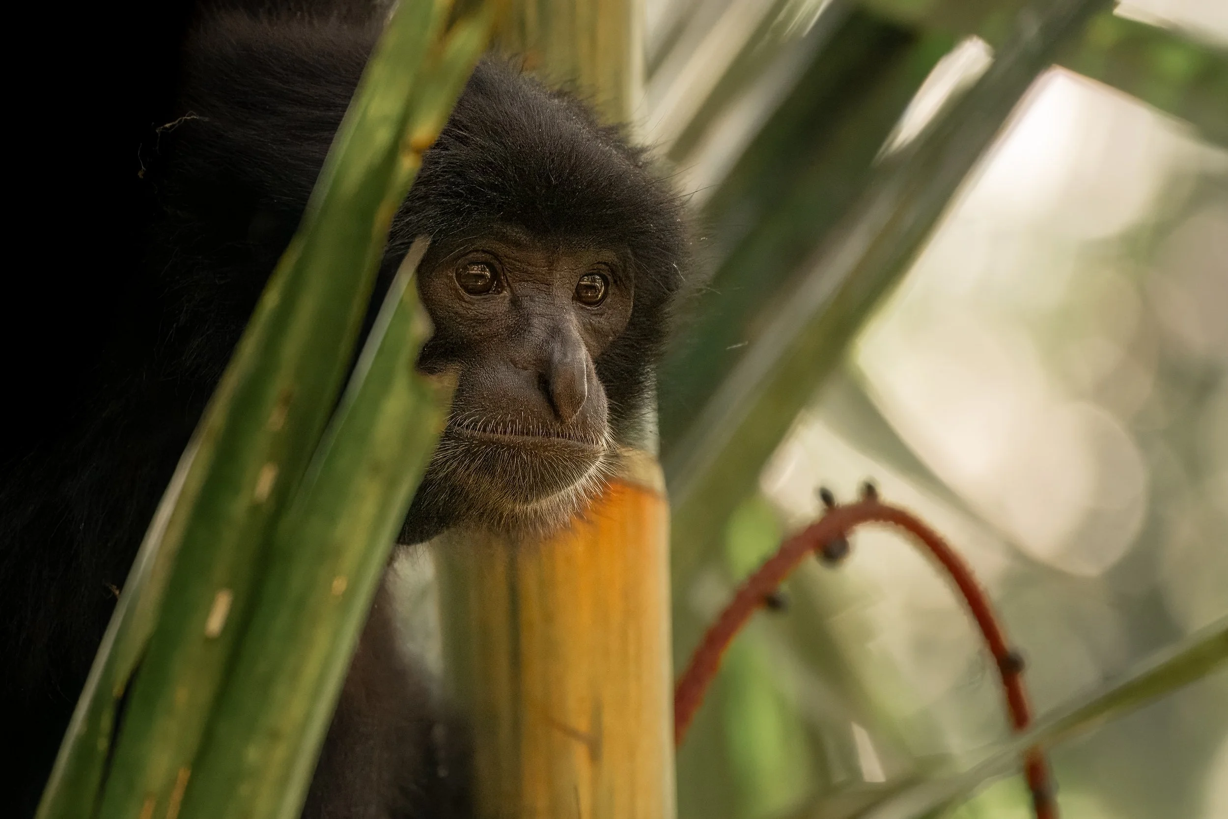 Z63_7731.jpg