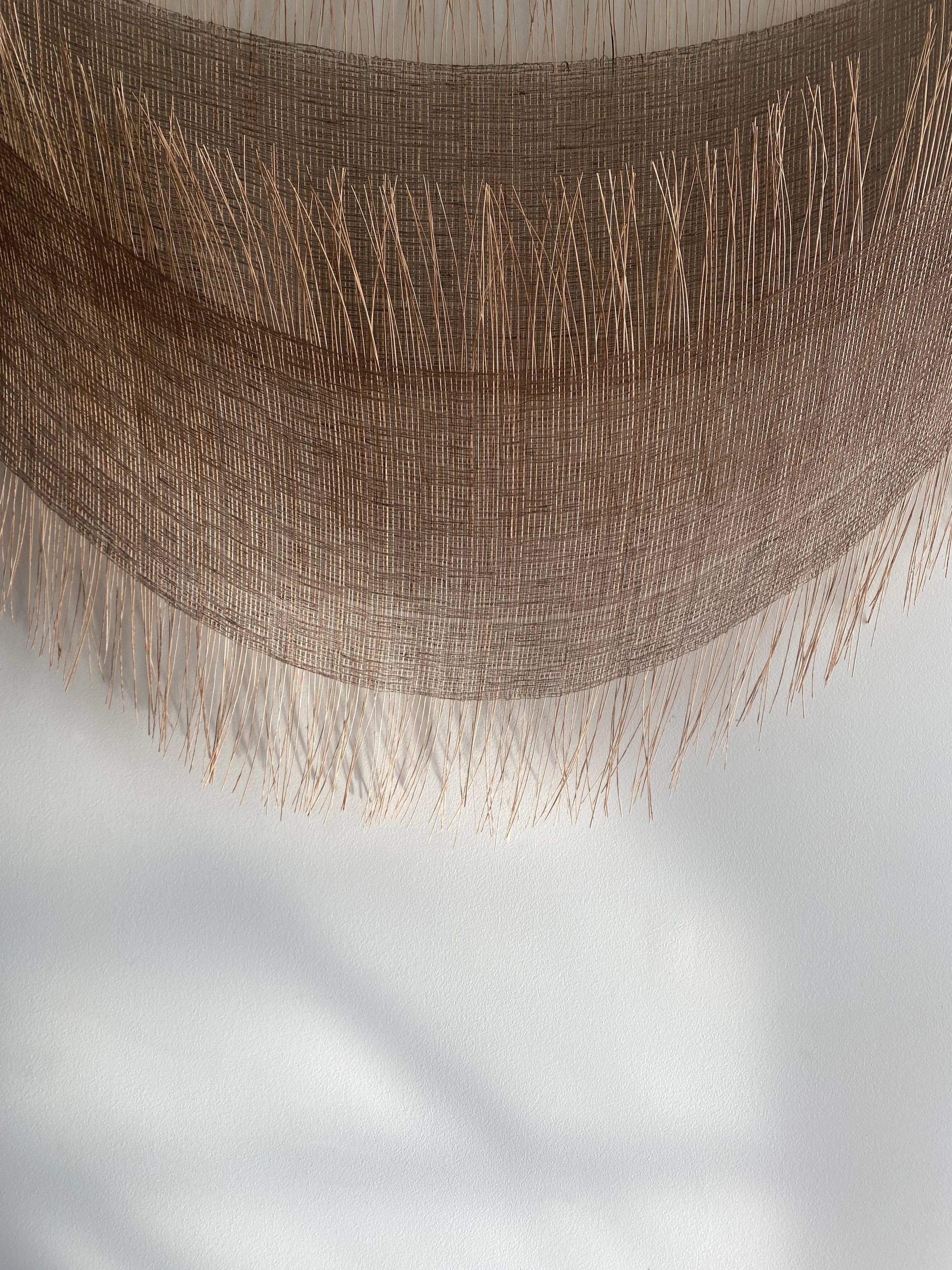 Cloudmaystudio:Studio Griffiths commision 05.JPG