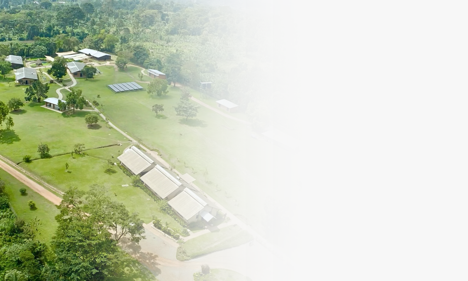 The Gem Foundation