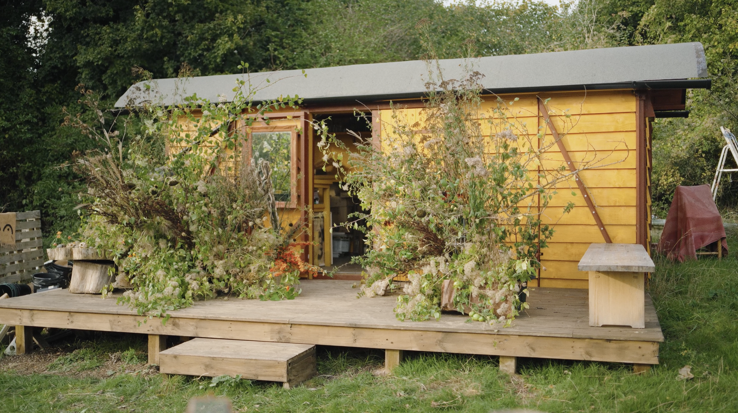 Florists Thistle By Nature and Nagundo create seasonally inspired floral installations, filmed and edited by Emlyn Bainbridge.