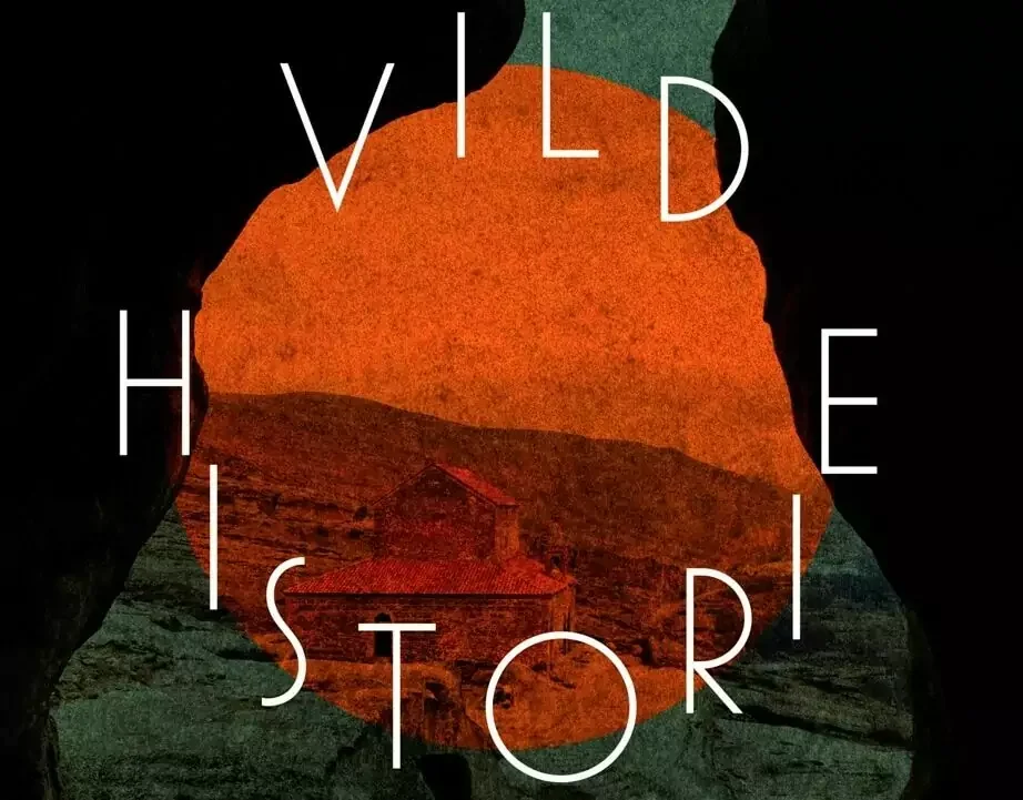 Vild historie