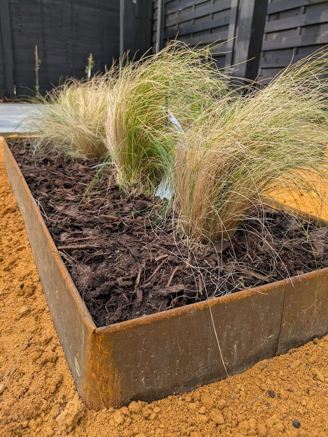 Drought tolerant plants to use in Southend