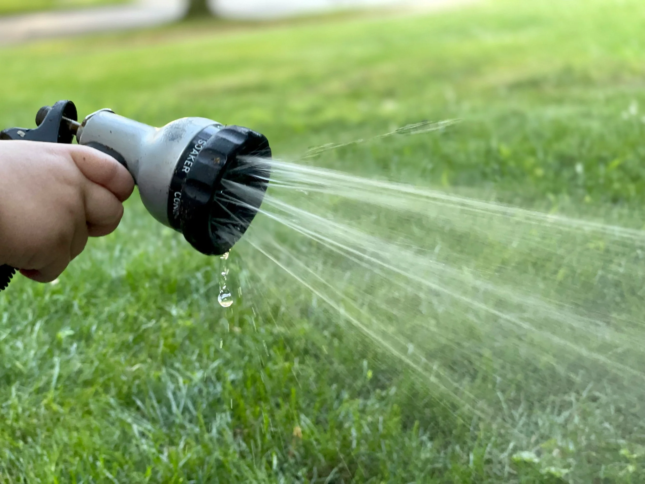 Can I water my garden during a hosepipe ban in Essex?