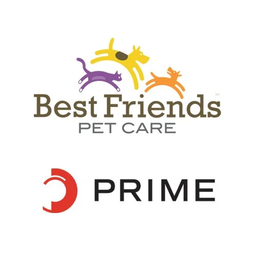 Falcon Invests in Best Friends Pet Hotels and Exits Prime Electric