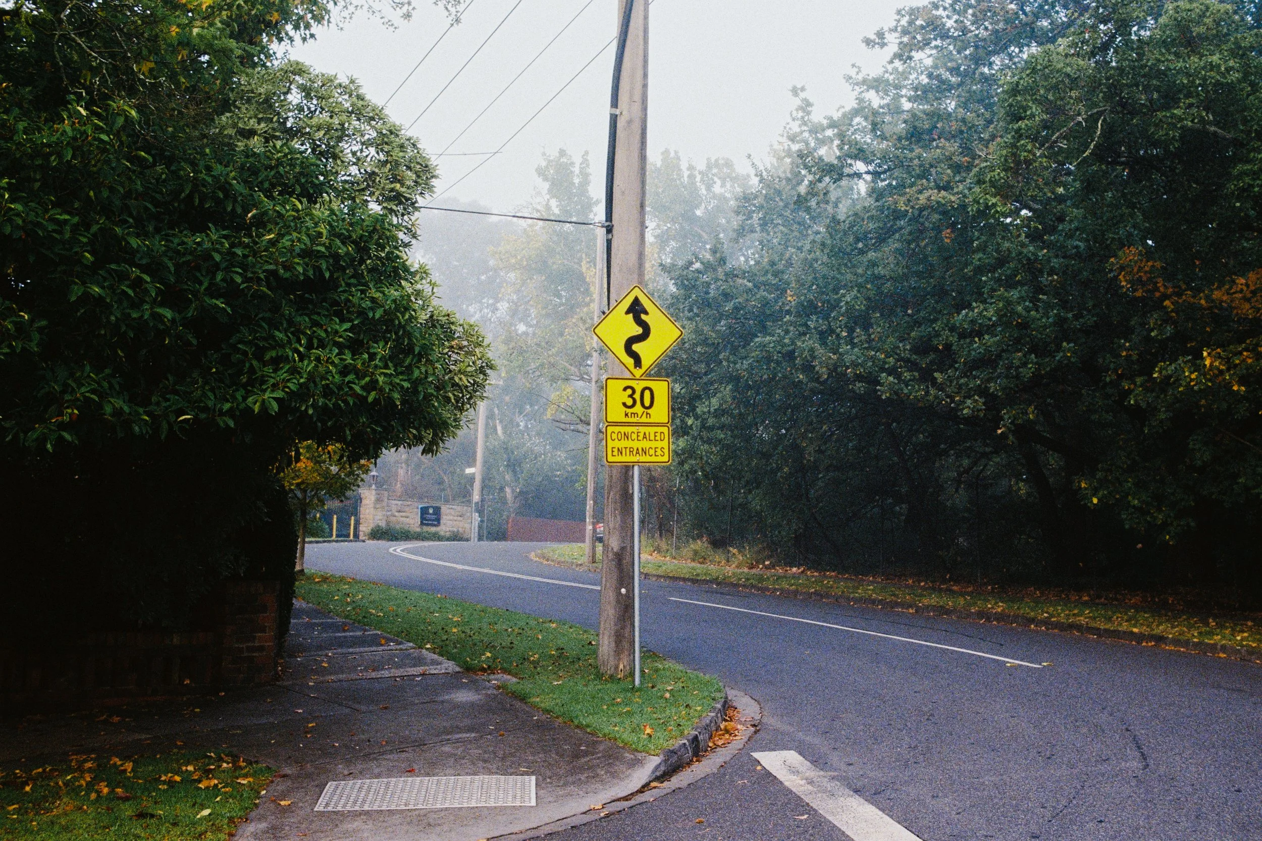 Road, Road Sign, Speed Limit, Trees, Foggy, Film