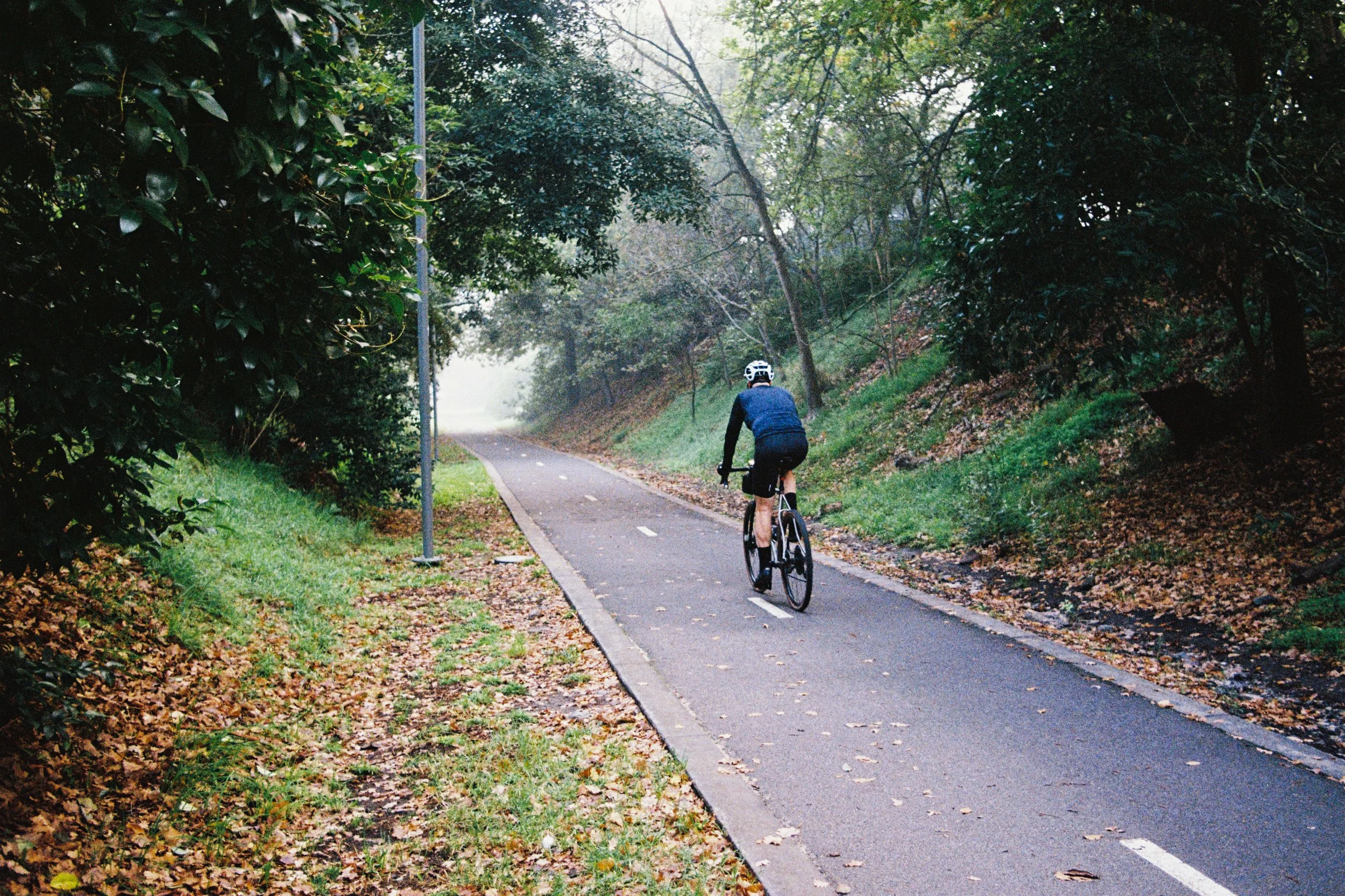 Cyclist, Foggy. Trail, Nature, Autumn, Film