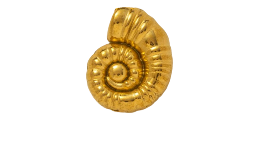 Spiral Shell.png