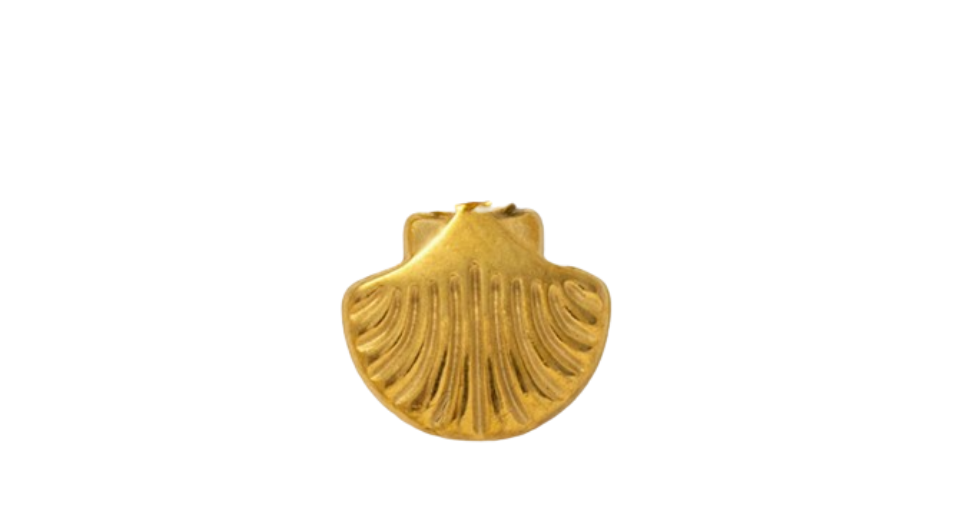 Scallop Shell.png