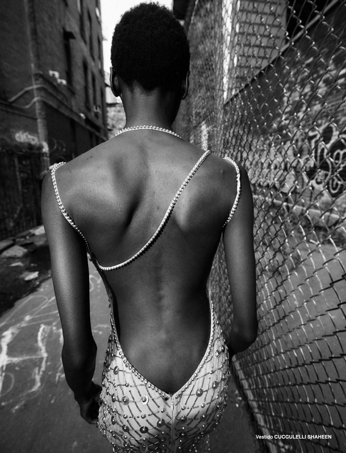 Screen Shot 2026-01-22 at 4.07.54 PM.png