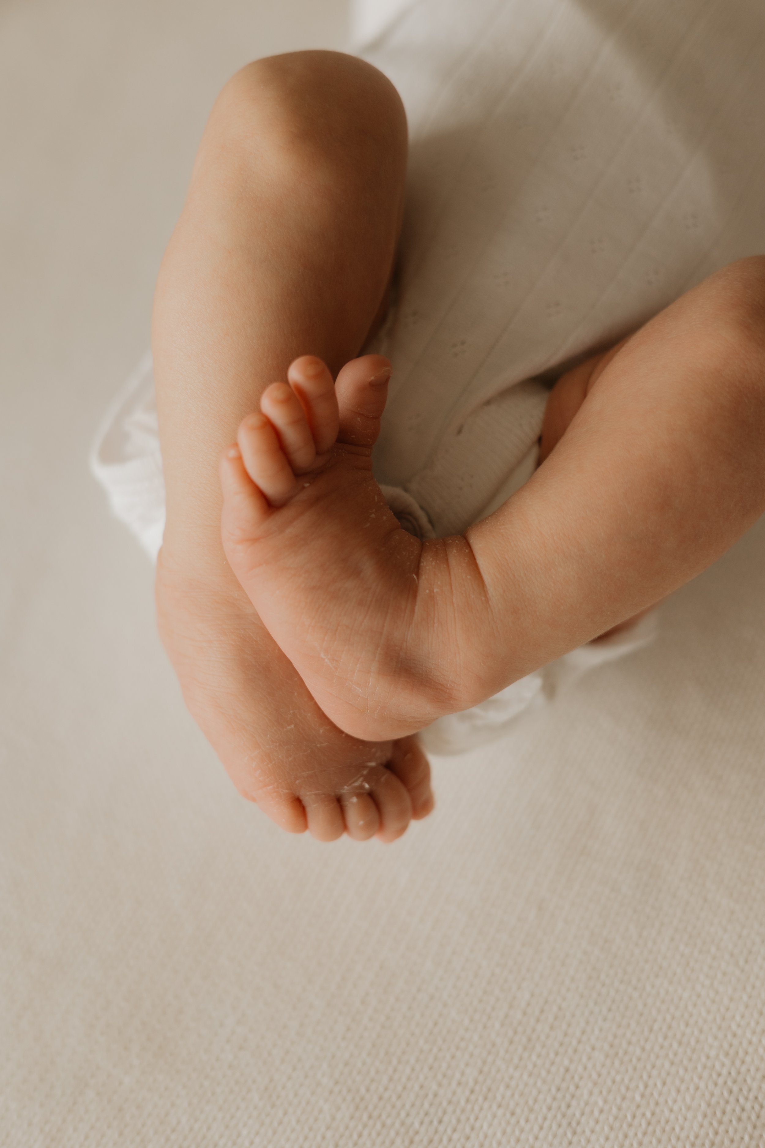 :Newborn 073.jpg
