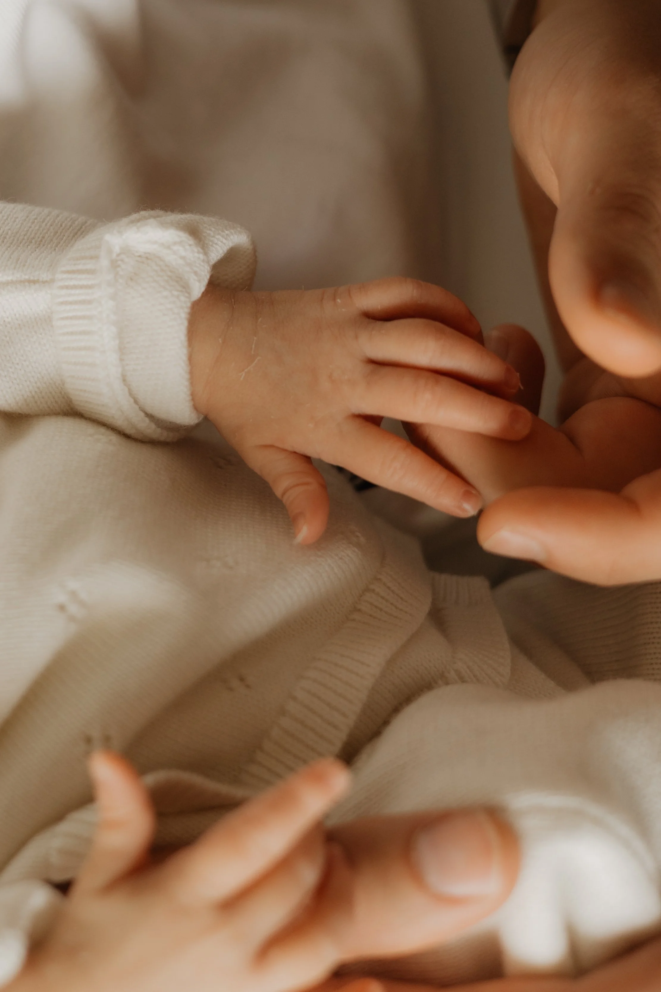 :Newborn 010.jpg