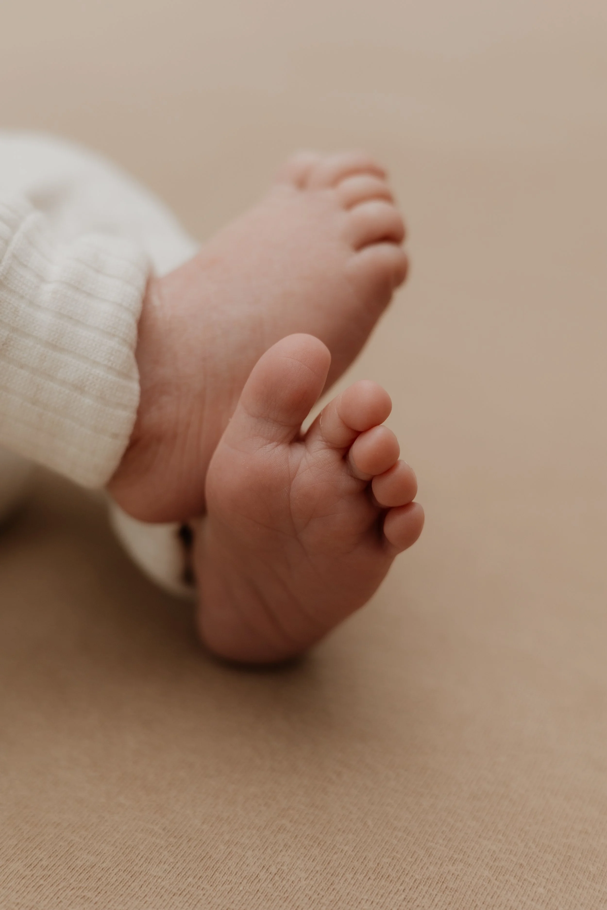 :Newborn080 2.jpg