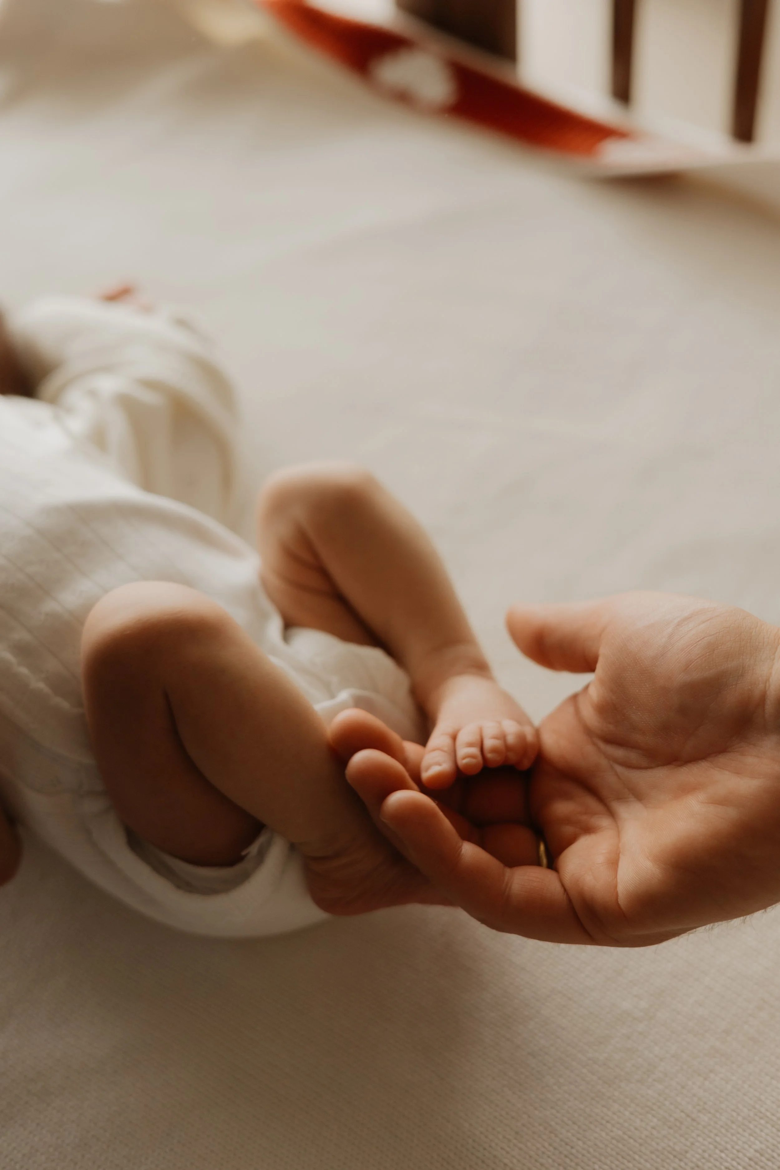 :Newborn 060.jpg