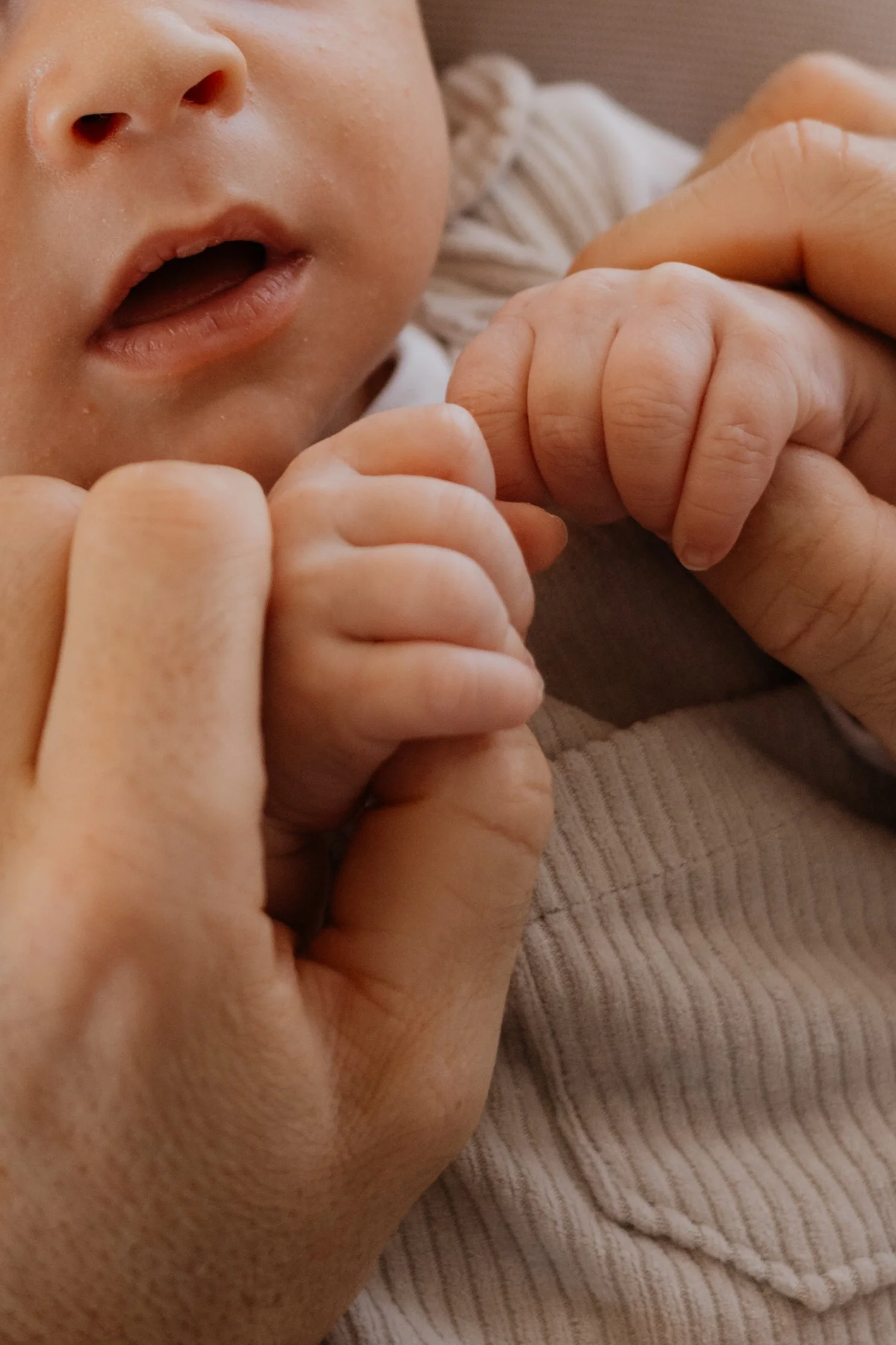 :Newborn058.jpg
