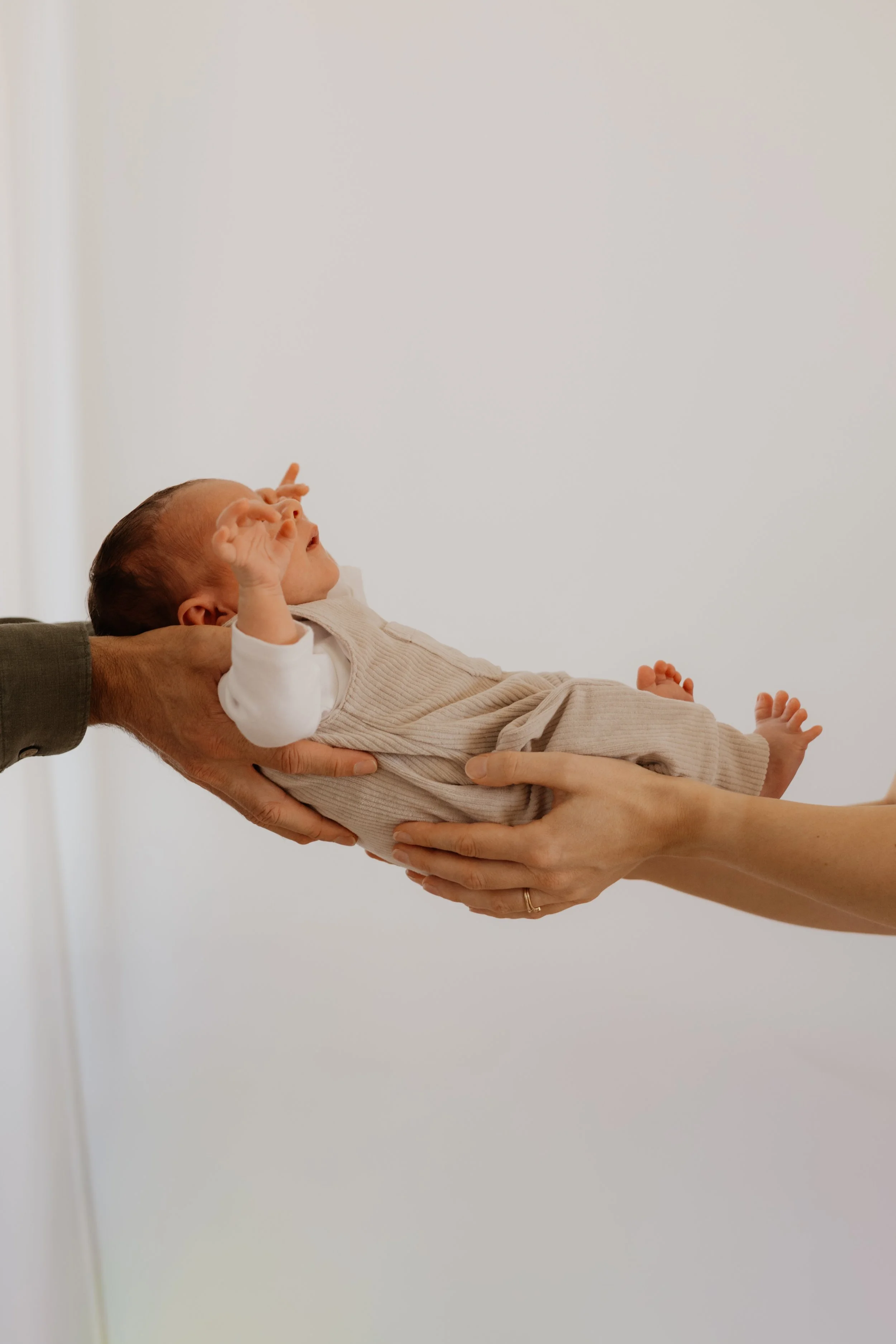 :Newborn079.jpg