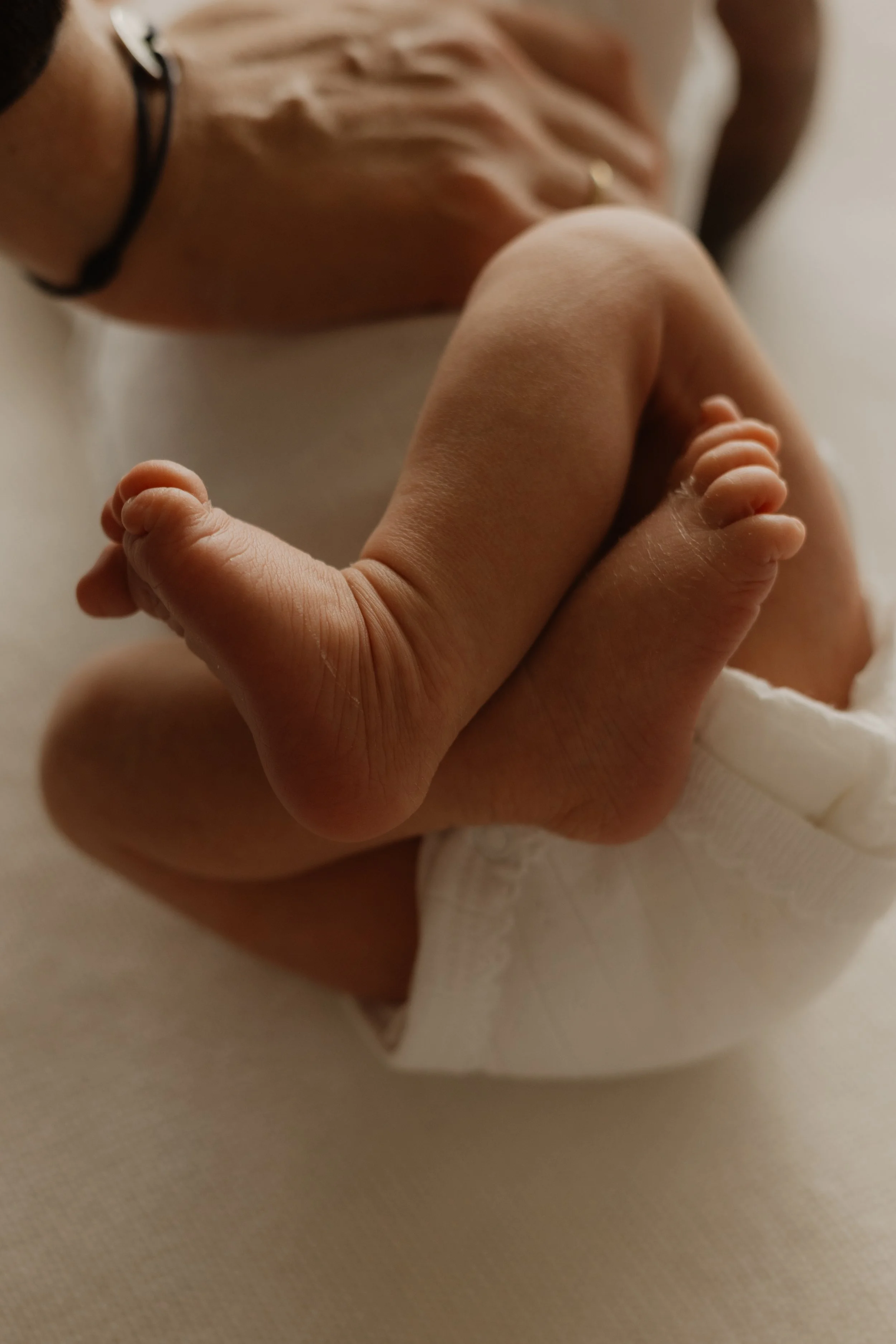 :Newborn 061.jpg