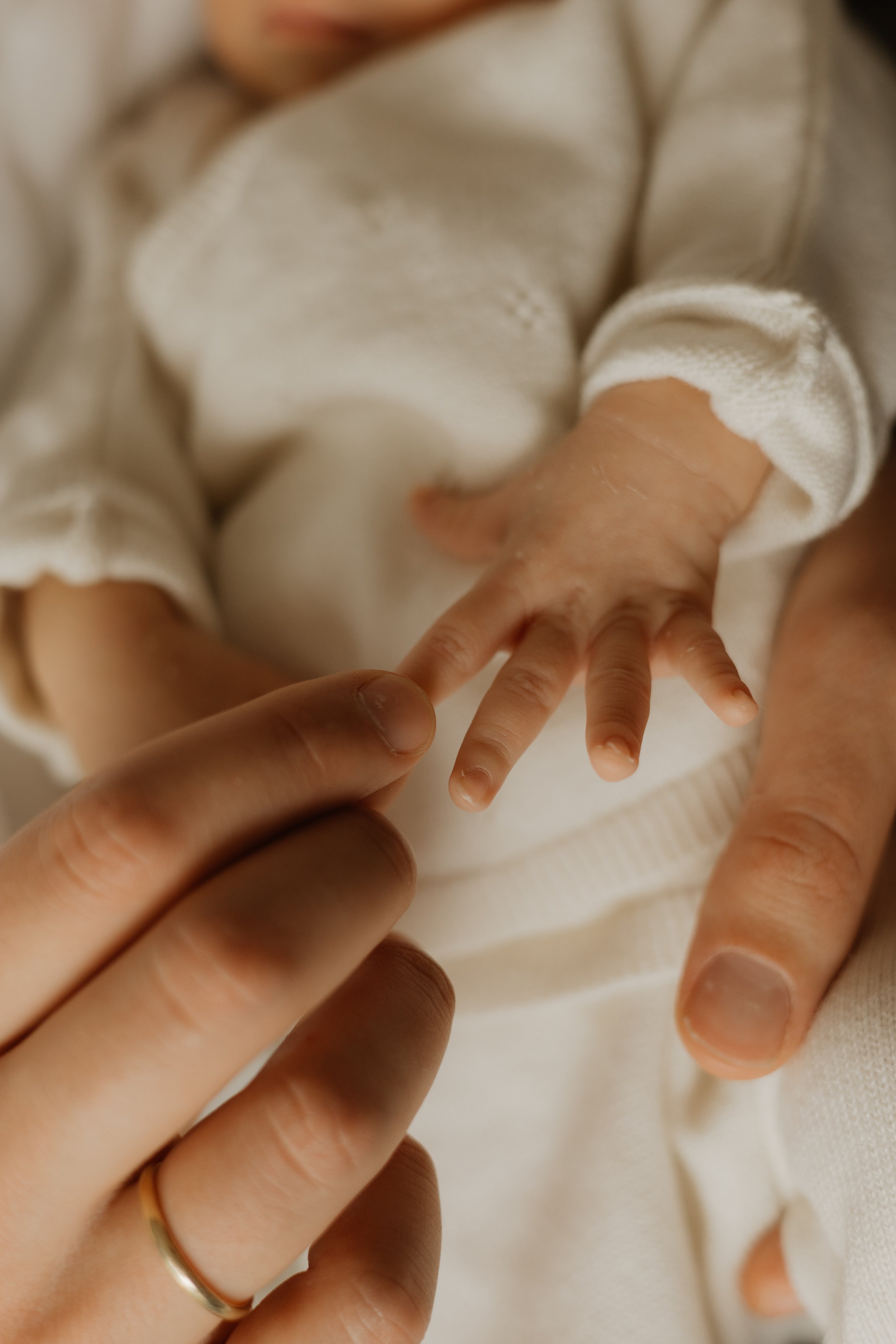 :Newborn 017.jpg