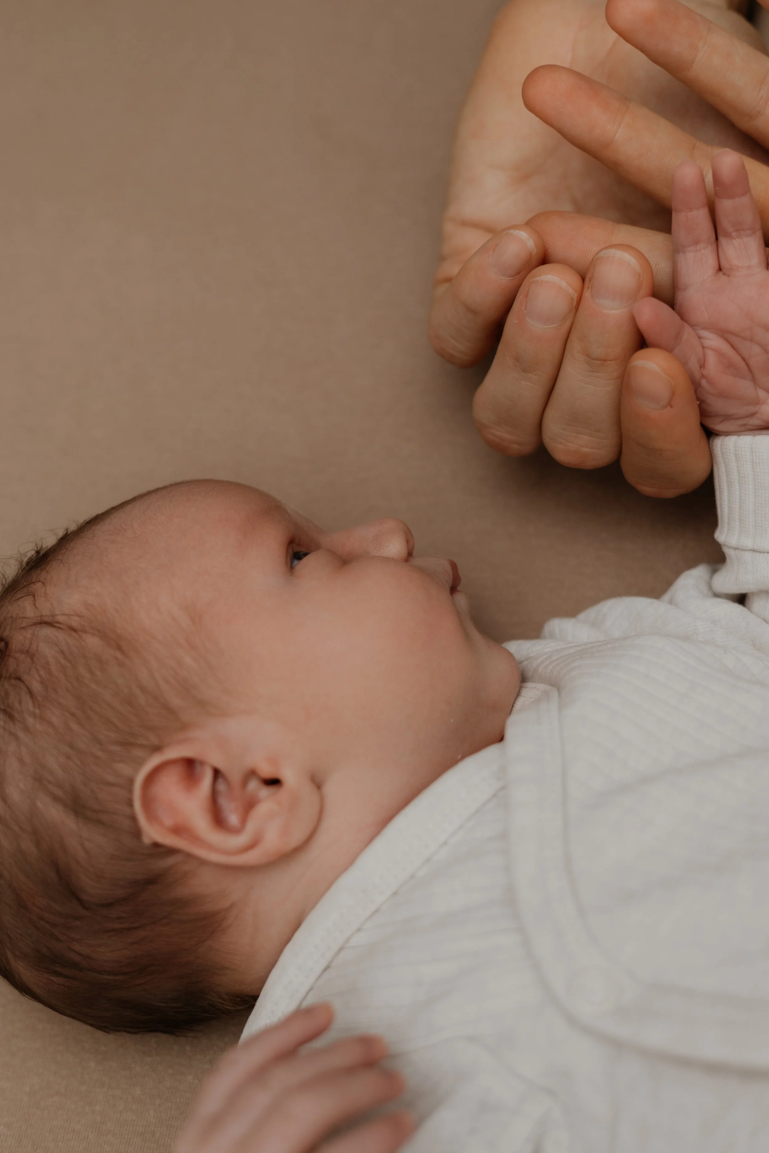 :Newborn099.jpg