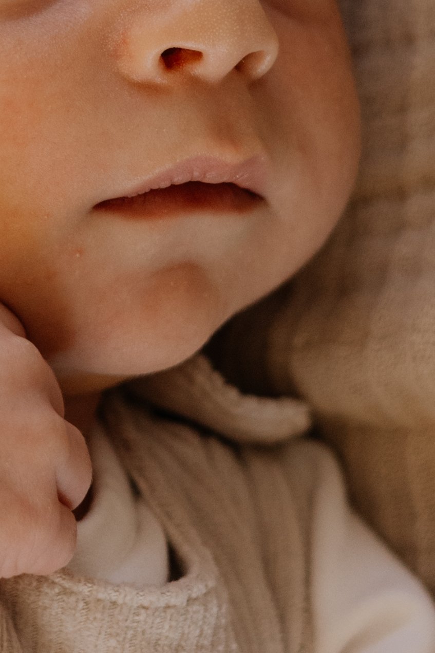 :Newborn014.jpg
