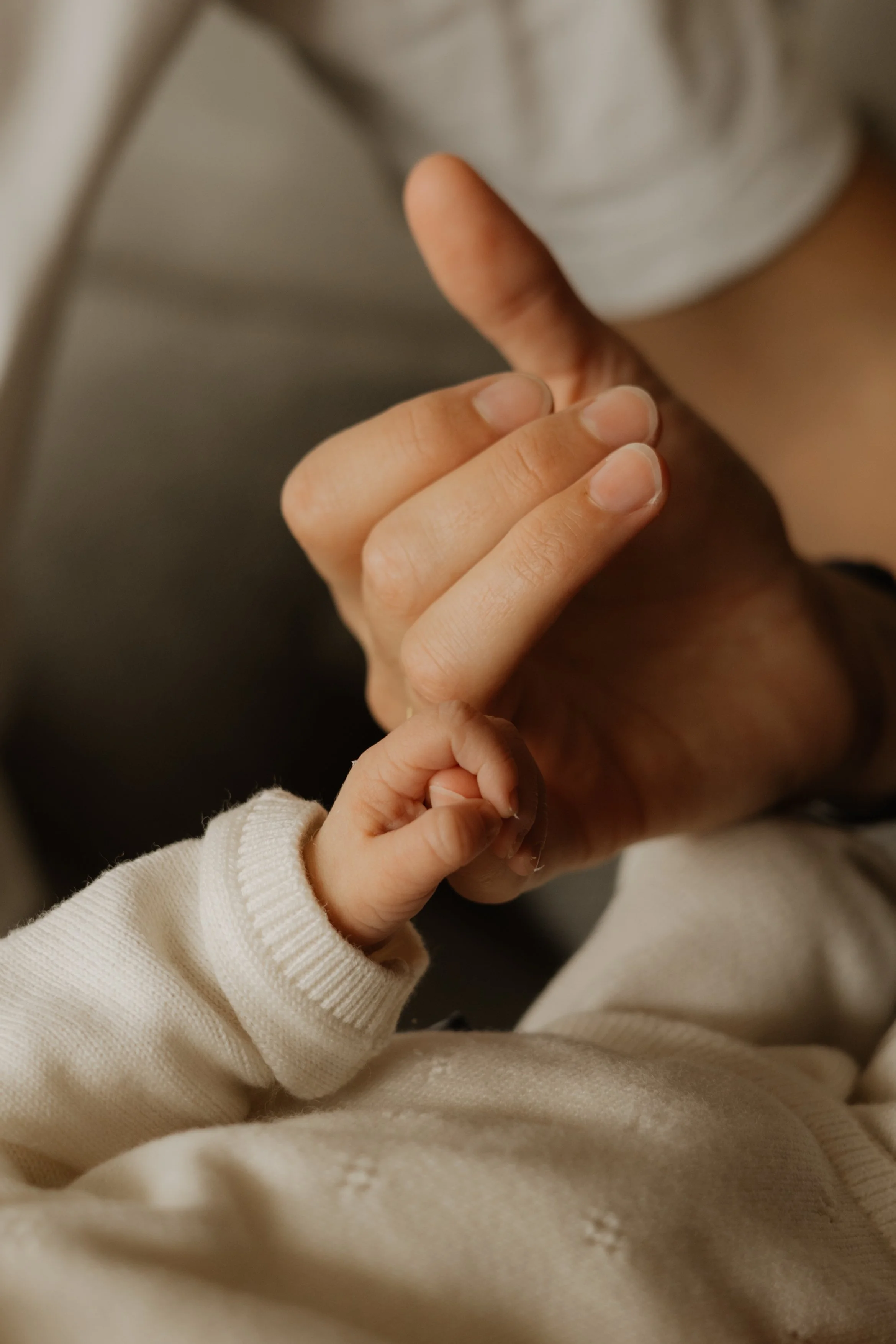 :Newborn 005.jpg