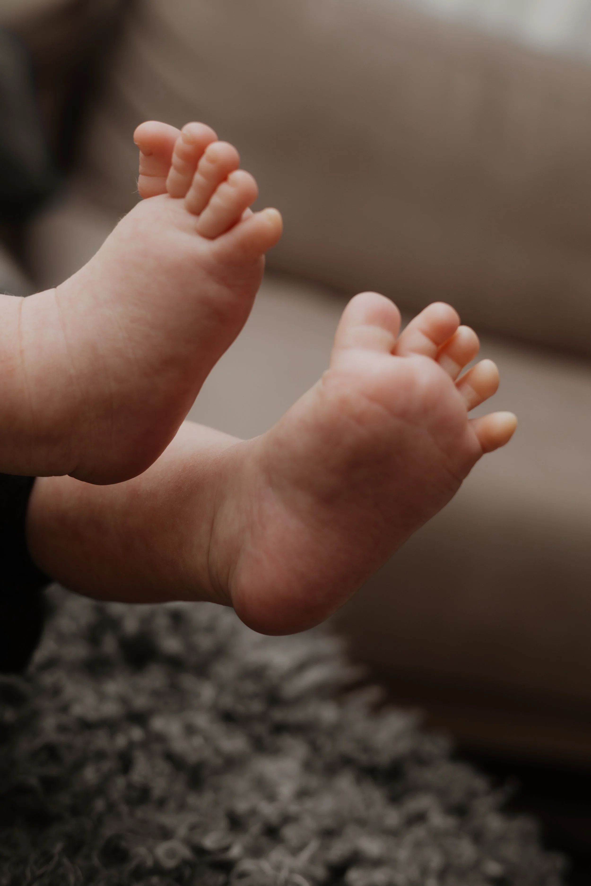 Newborn 099.jpg