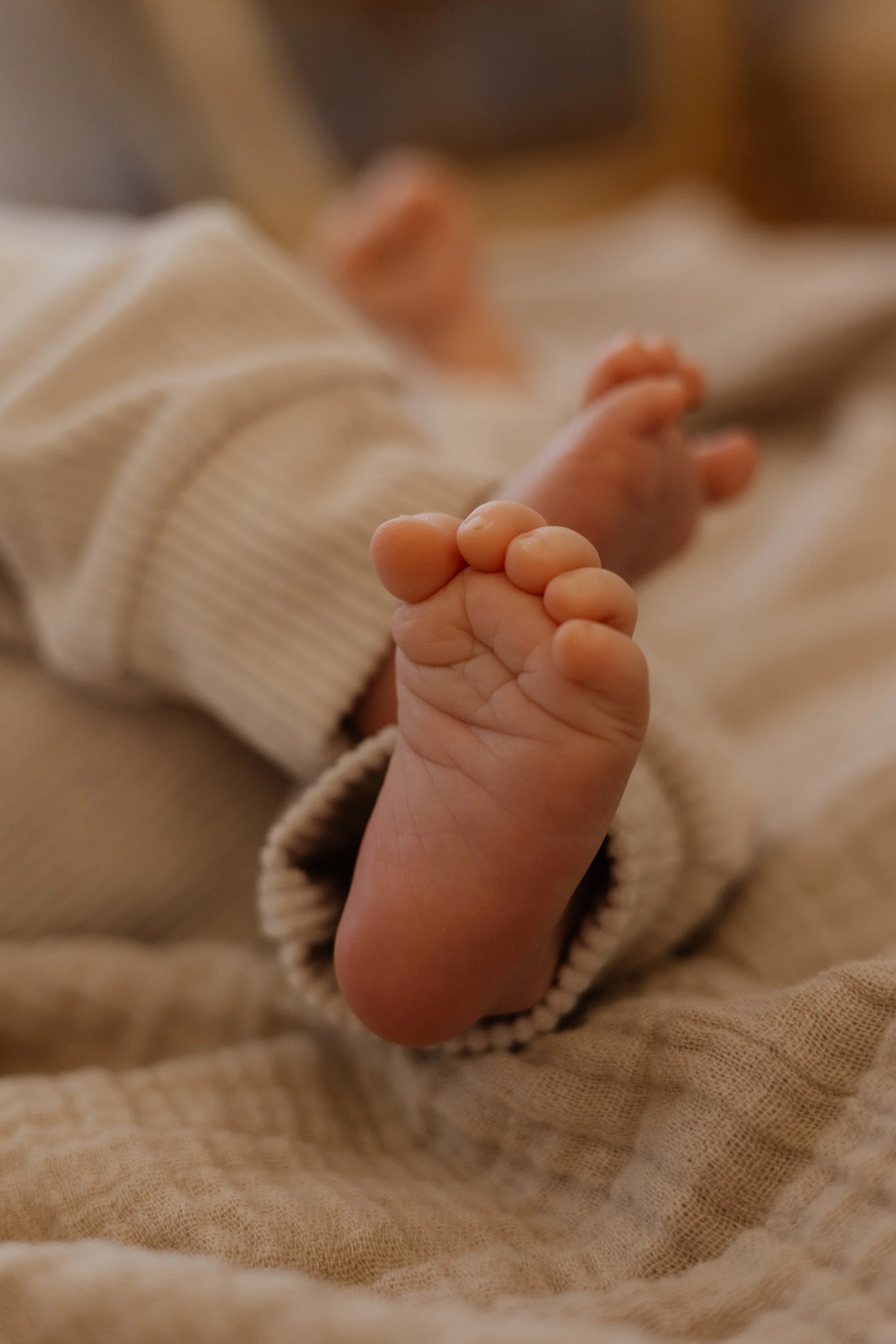 :Newborn013.jpg
