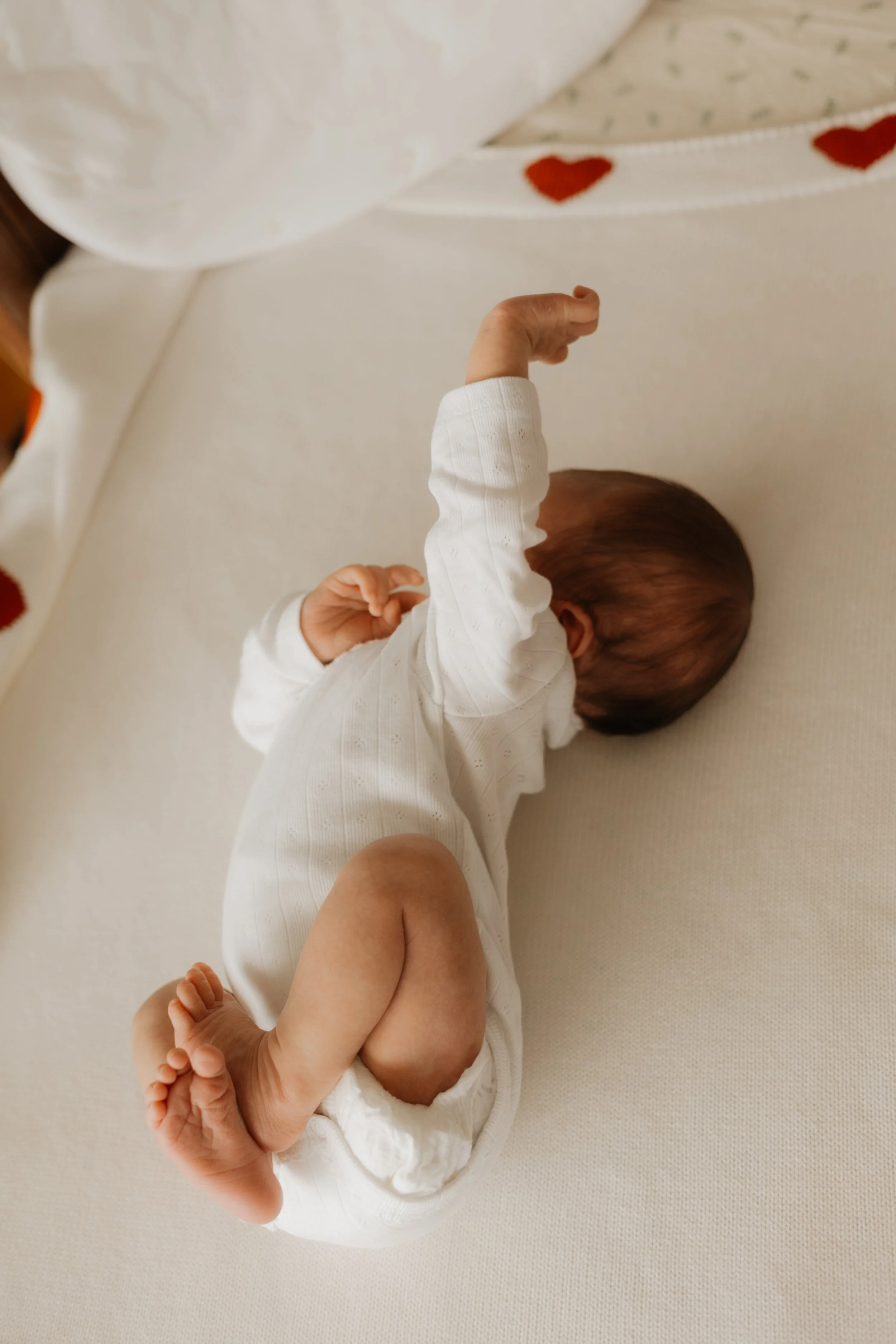 :Newborn 075.jpg