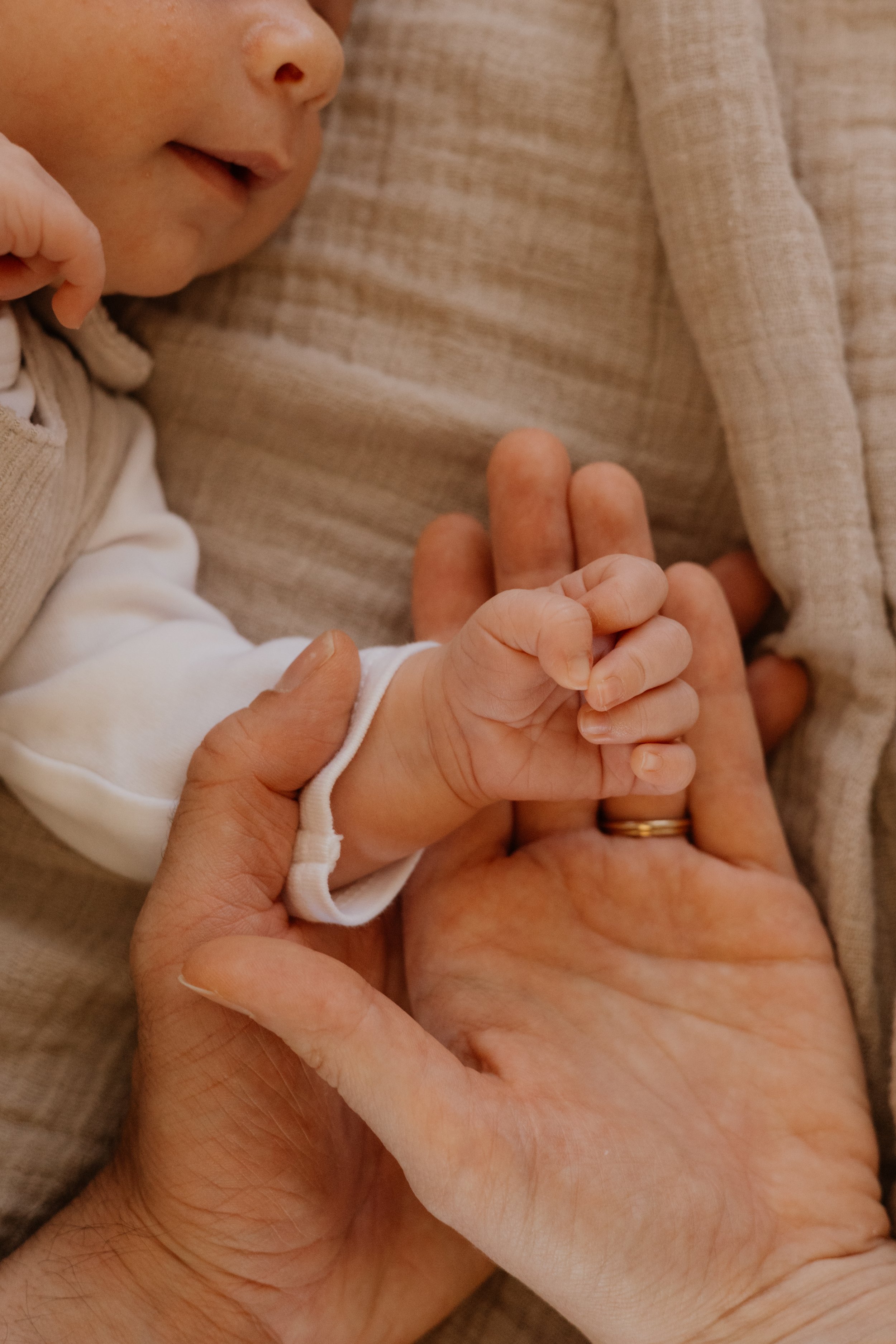 :Newborn028.jpg