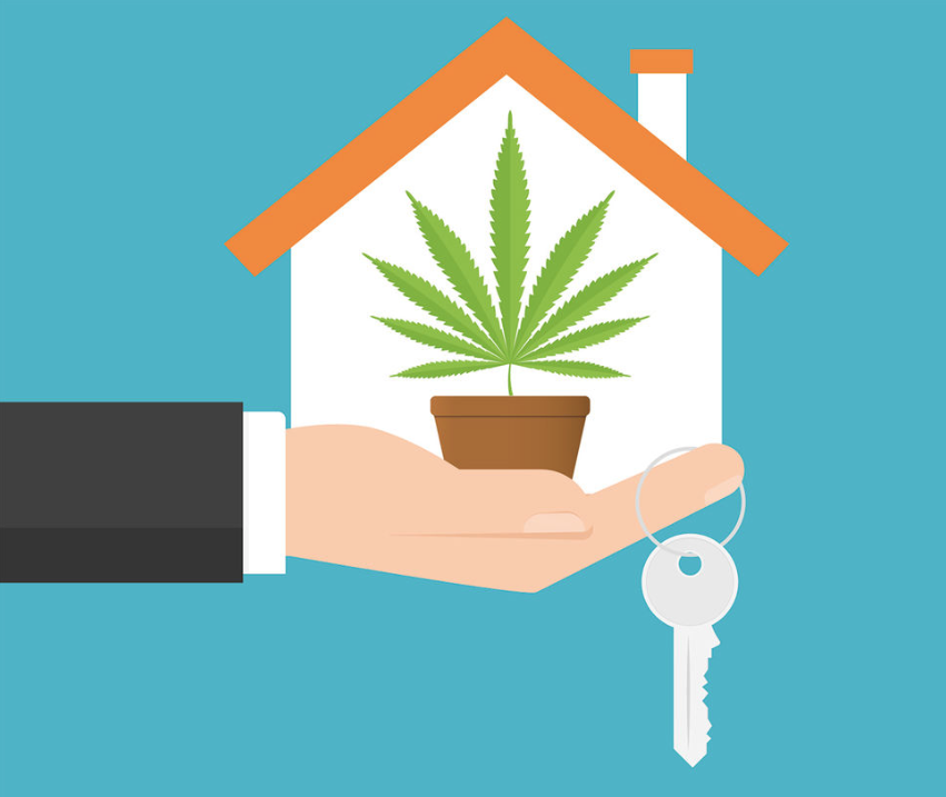 La culture du pot dans une maison doit être divulguée