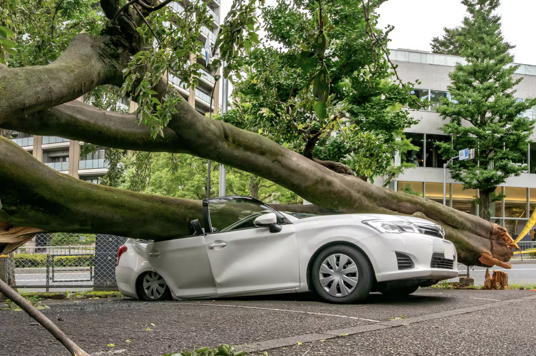 Êtes-vous couvert si un arbre écrase votre auto?