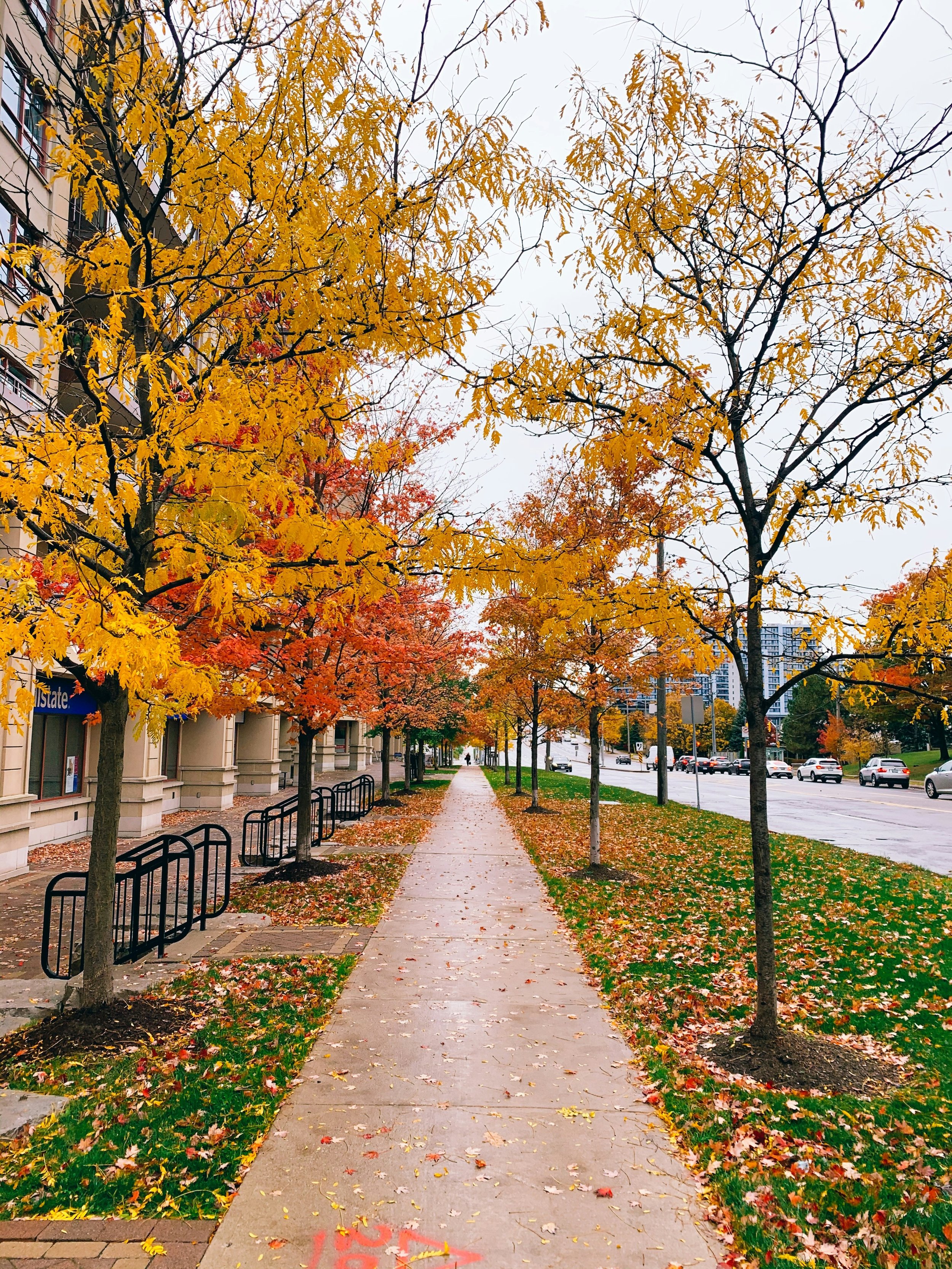 yasaman-hosseini-h0CY1hjLAdY-unsplash.jpg